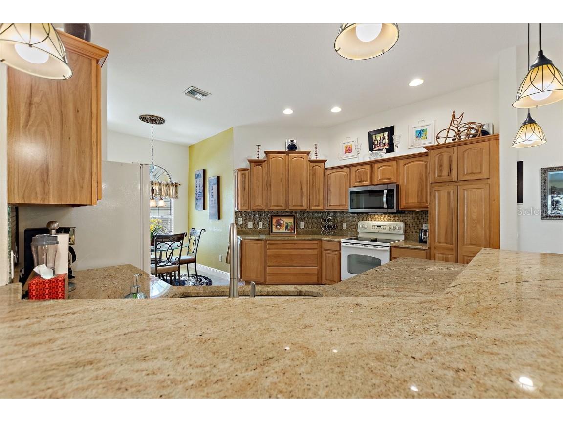 1258 Donalds Place The Villages FL 32162 S5138584 image7