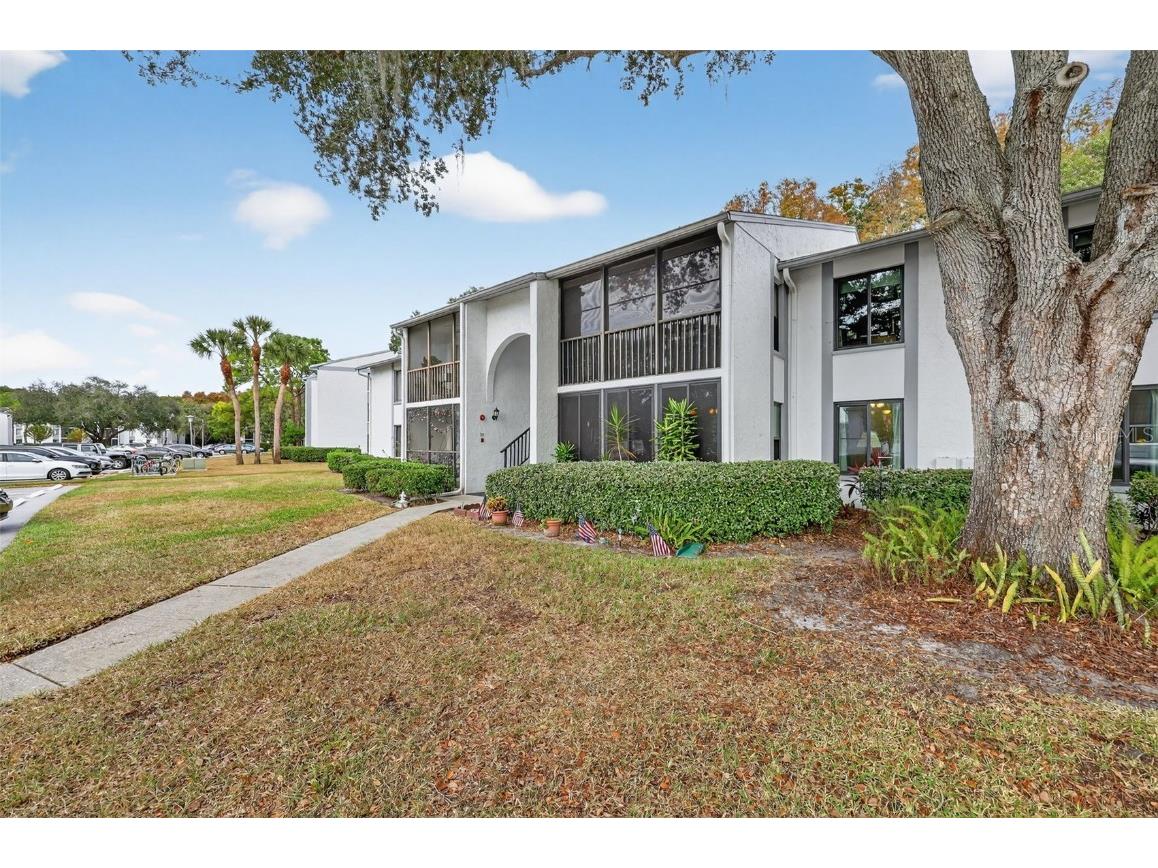 1258 Pine Ridge Circle W #D1 Tarpon Springs FL 34688 TB8451321 image1