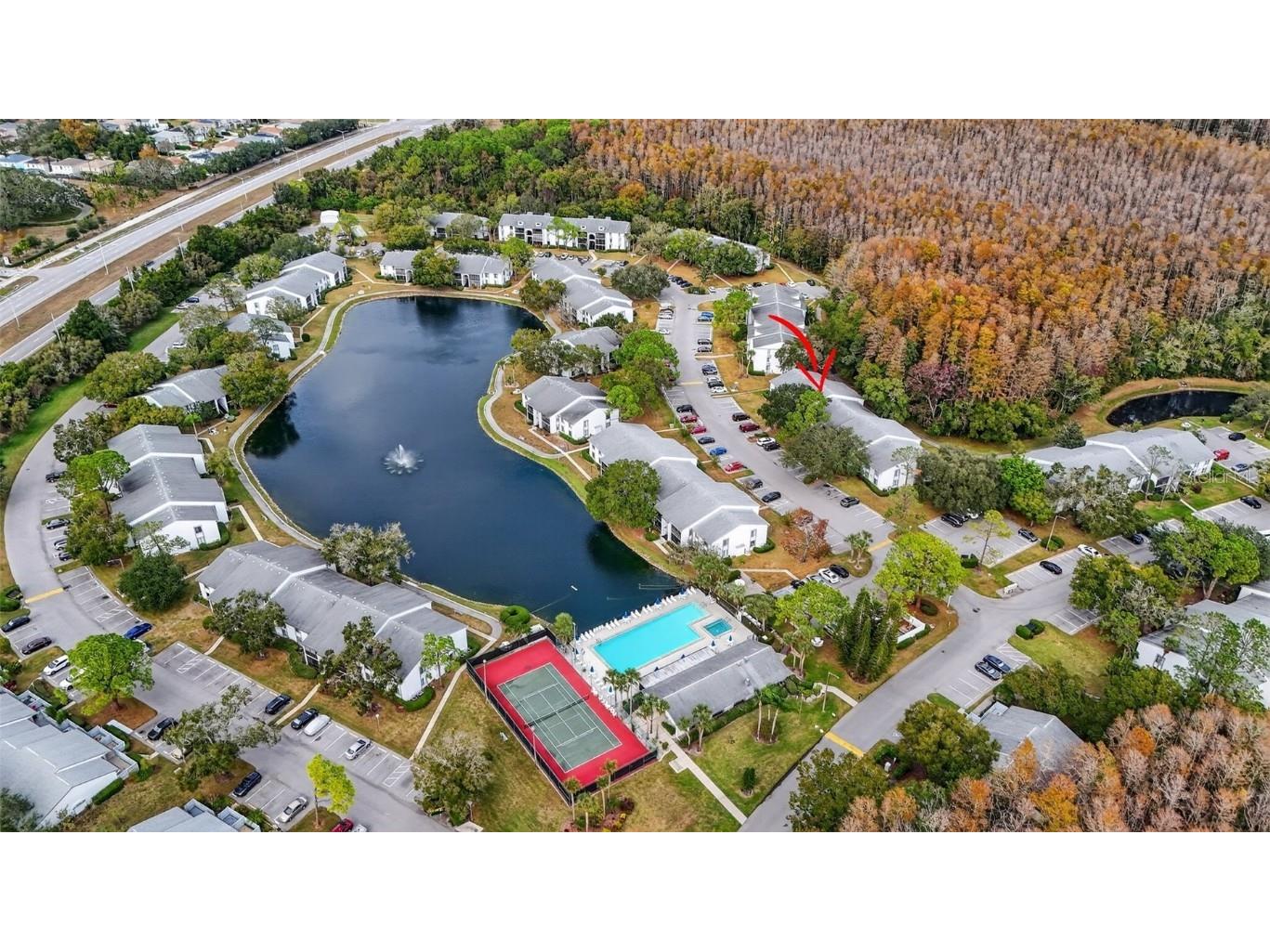 1258 Pine Ridge Circle W #D1 Tarpon Springs FL 34688 TB8451321 image28