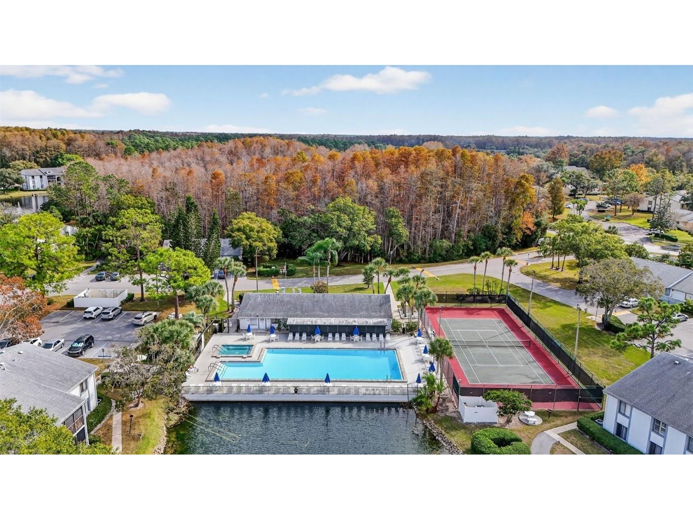 1258 Pine Ridge Circle W #D1 Tarpon Springs FL 34688 TB8451321 image29