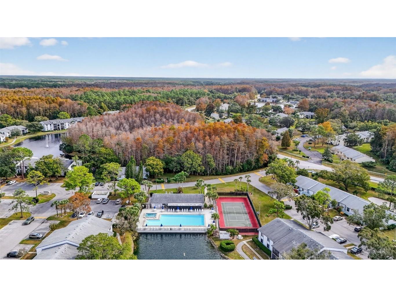 1258 Pine Ridge Circle W #D1 Tarpon Springs FL 34688 TB8451321 image30