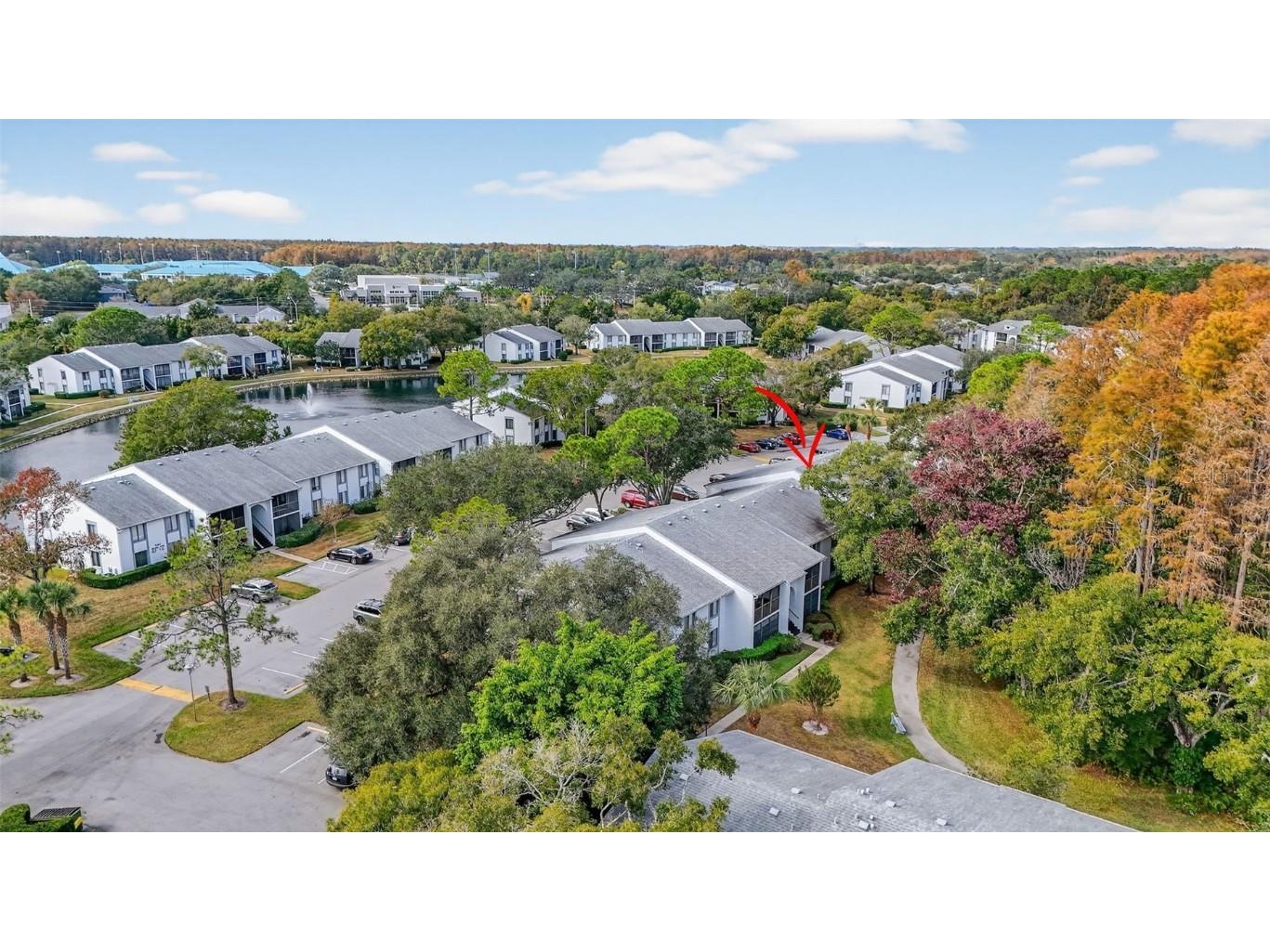 1258 Pine Ridge Circle W #D1 Tarpon Springs FL 34688 TB8451321 image32