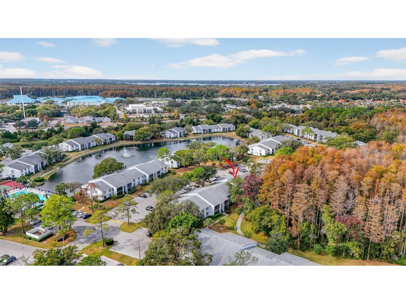 1258 Pine Ridge Circle W #D1 Tarpon Springs FL 34688 TB8451321 image33