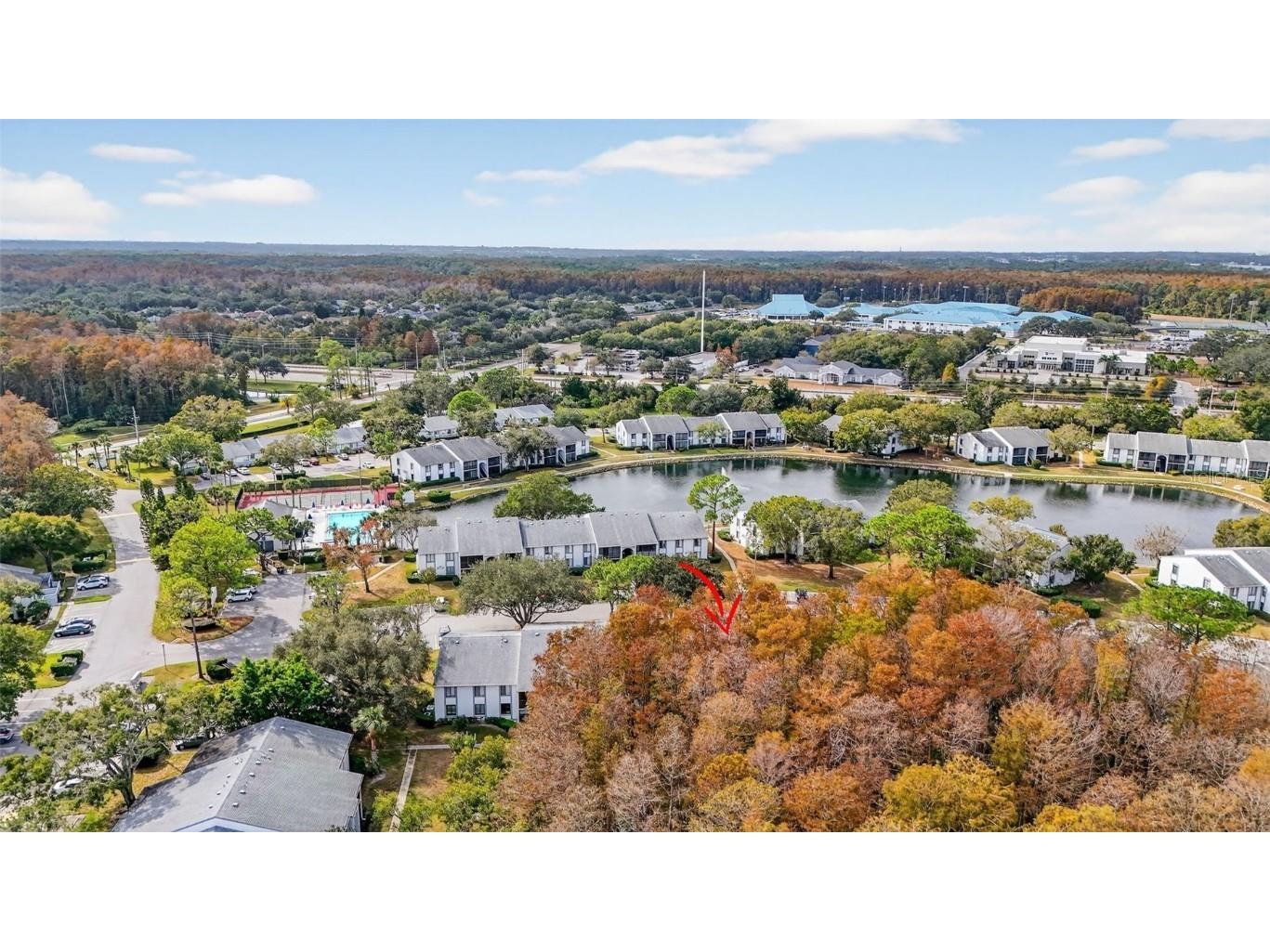 1258 Pine Ridge Circle W #D1 Tarpon Springs FL 34688 TB8451321 image34