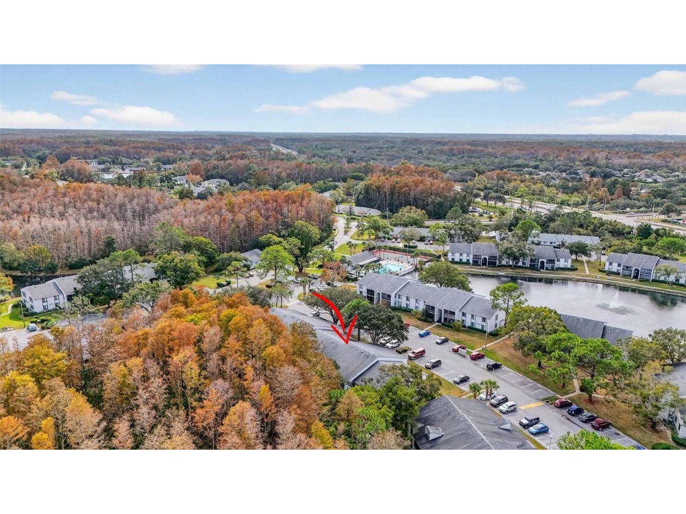 1258 Pine Ridge Circle W #D1 Tarpon Springs FL 34688 TB8451321 image35