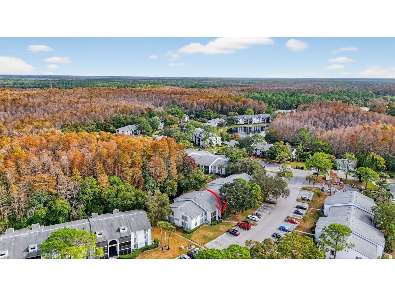 1258 Pine Ridge Circle W #D1 Tarpon Springs FL 34688 TB8451321 image36