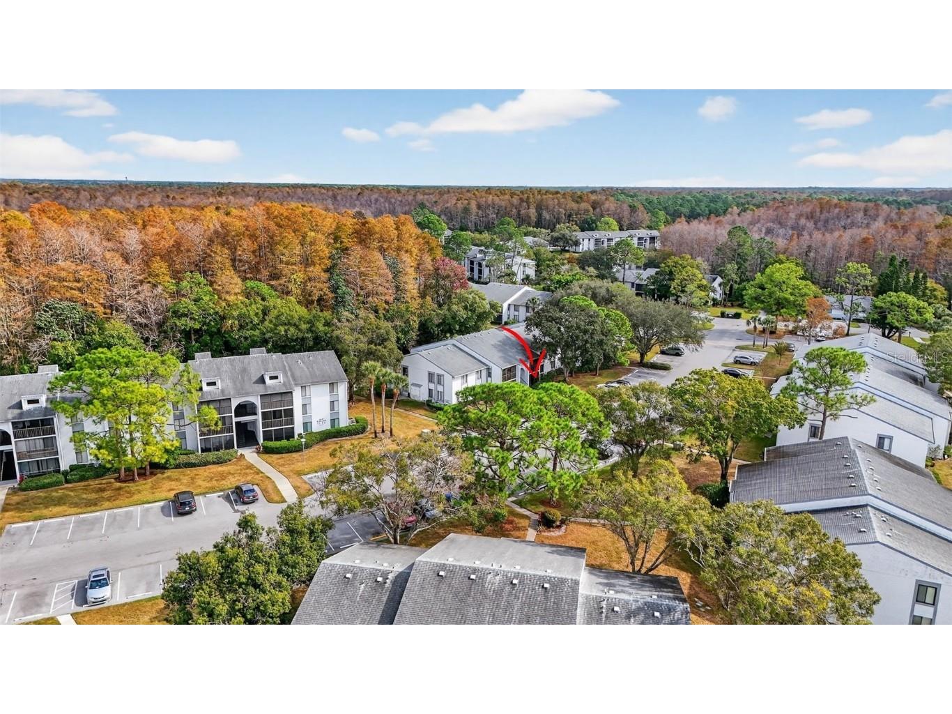 1258 Pine Ridge Circle W #D1 Tarpon Springs FL 34688 TB8451321 image37