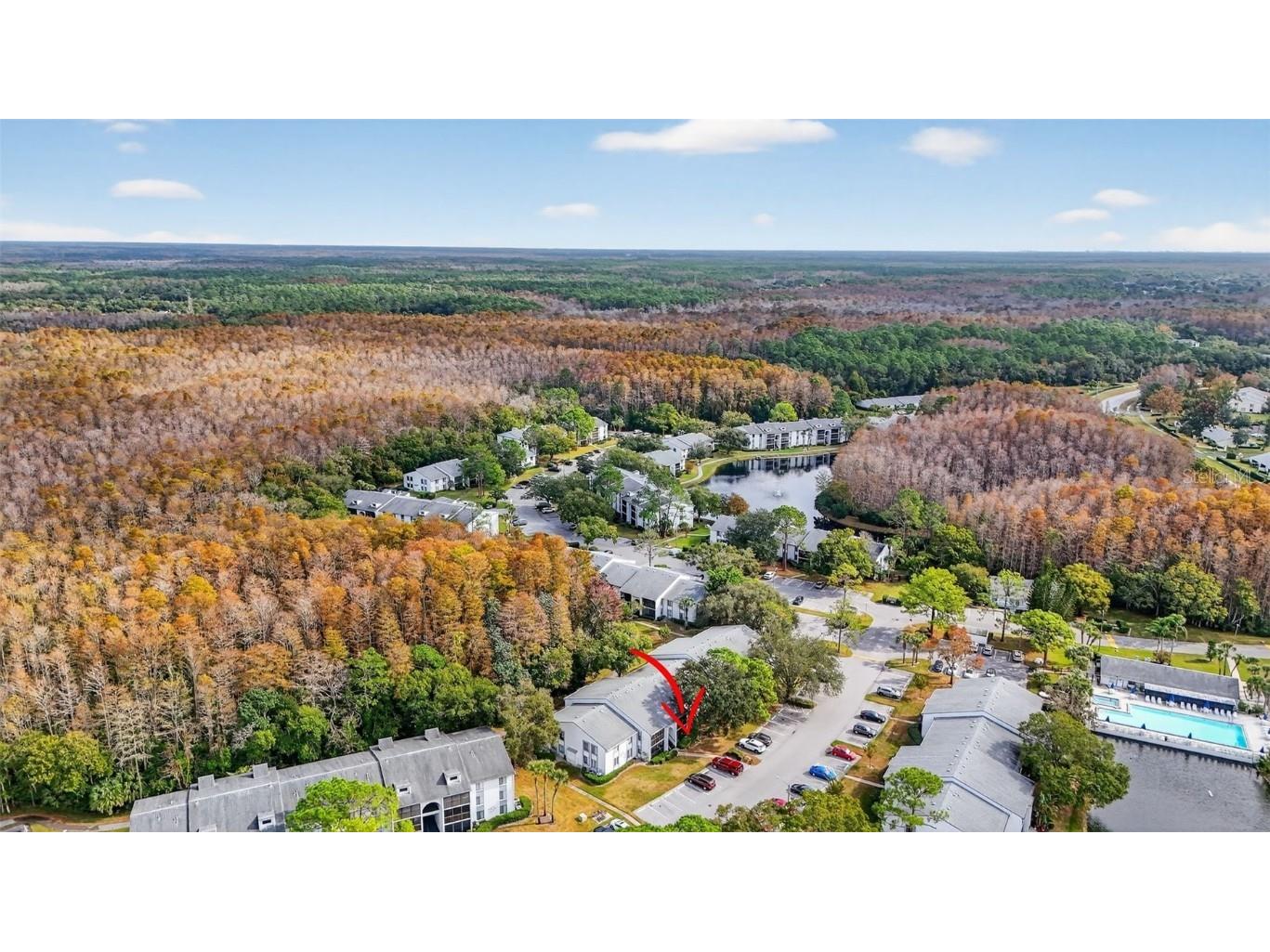 1258 Pine Ridge Circle W #D1 Tarpon Springs FL 34688 TB8451321 image38