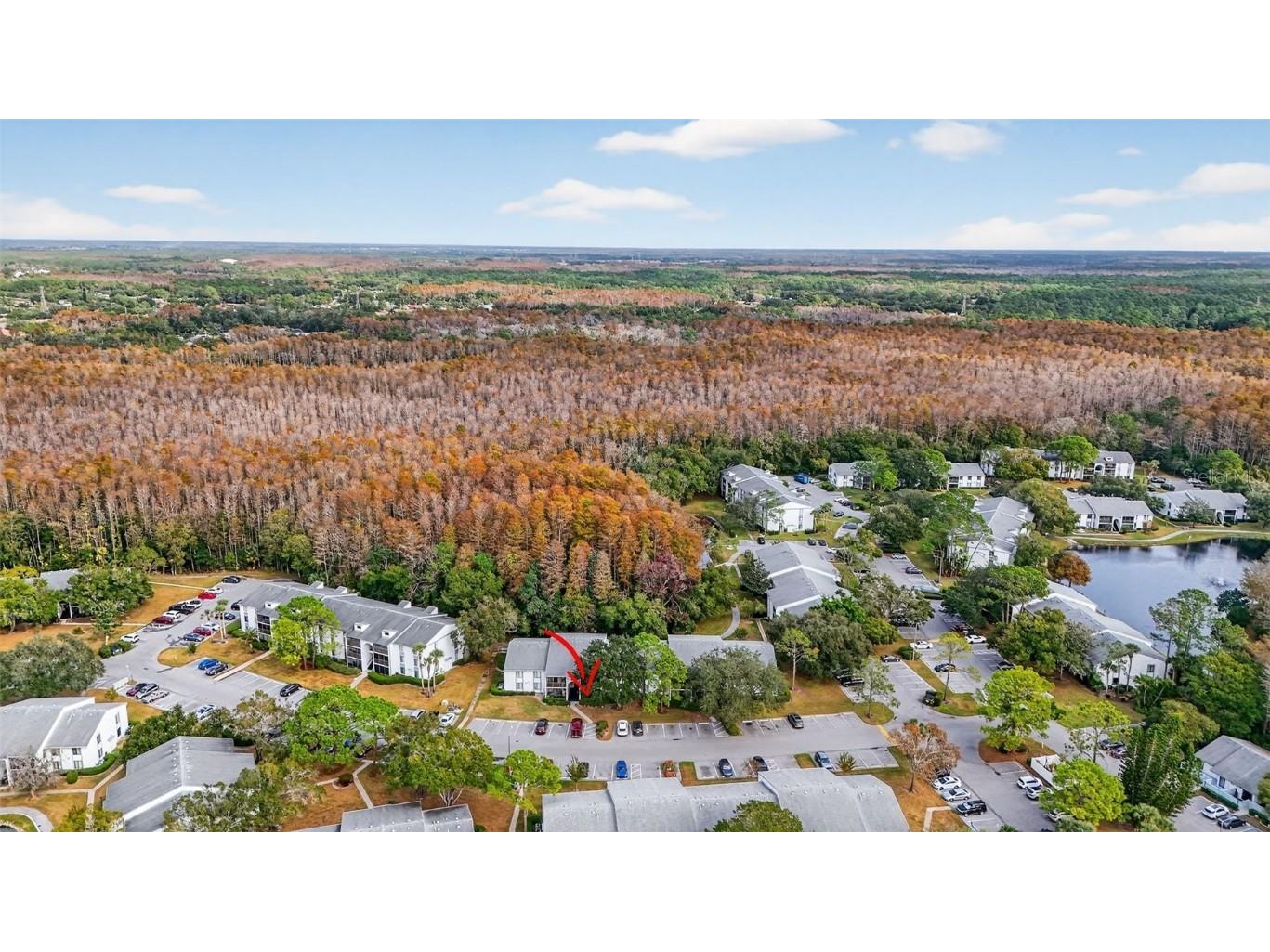 1258 Pine Ridge Circle W #D1 Tarpon Springs FL 34688 TB8451321 image39