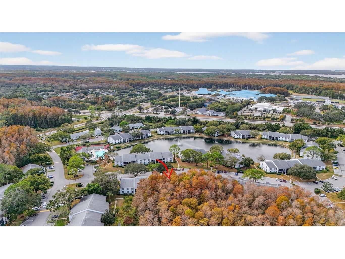 1258 Pine Ridge Circle W #D1 Tarpon Springs FL 34688 TB8451321 image40