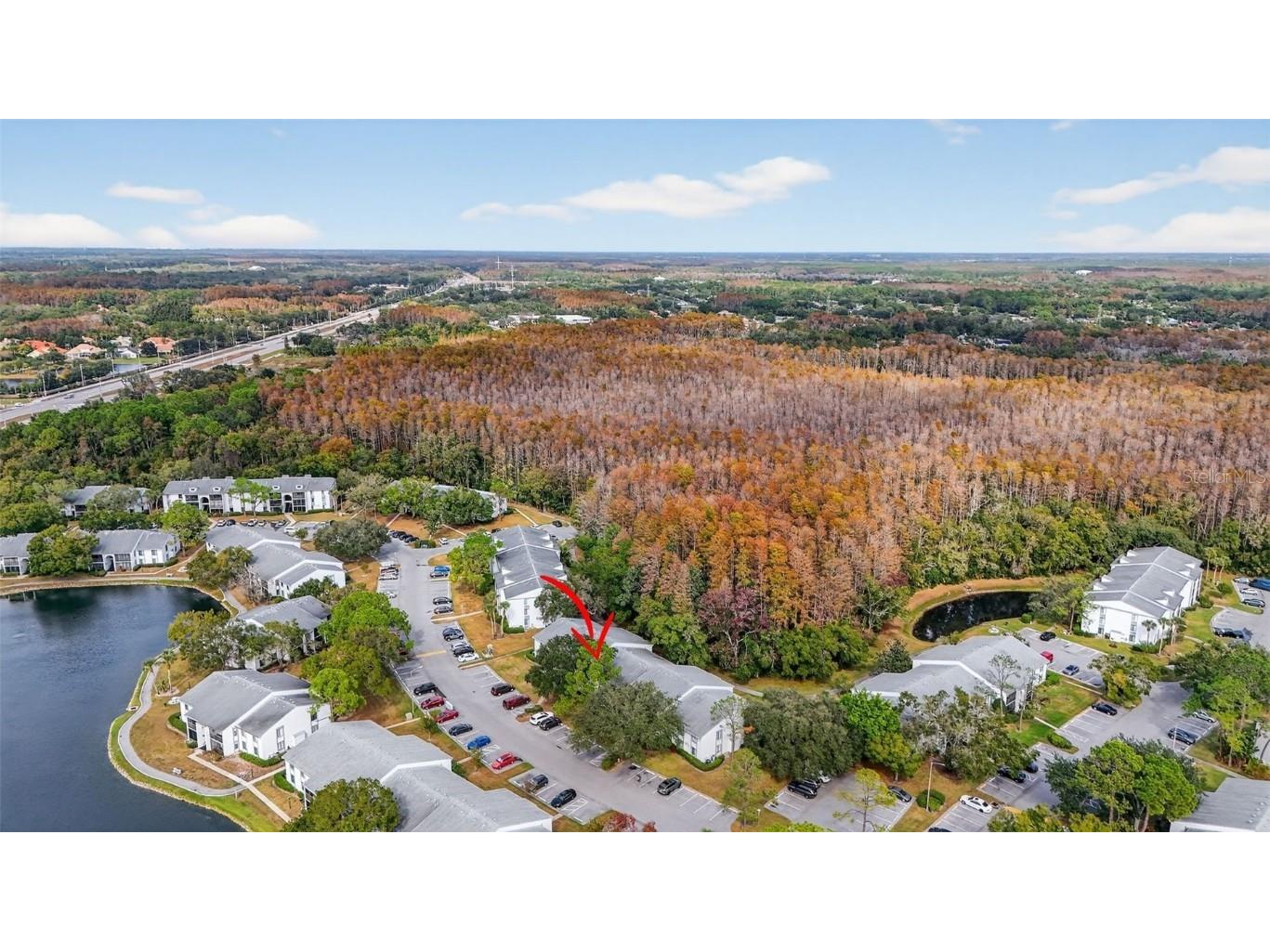 1258 Pine Ridge Circle W #D1 Tarpon Springs FL 34688 TB8451321 image41