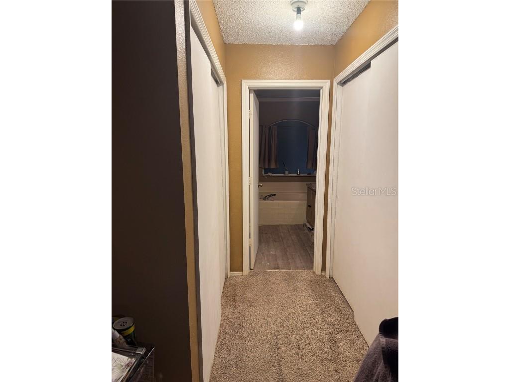 1258 Sandestin Way Orlando FL 32824 O6348556 image14