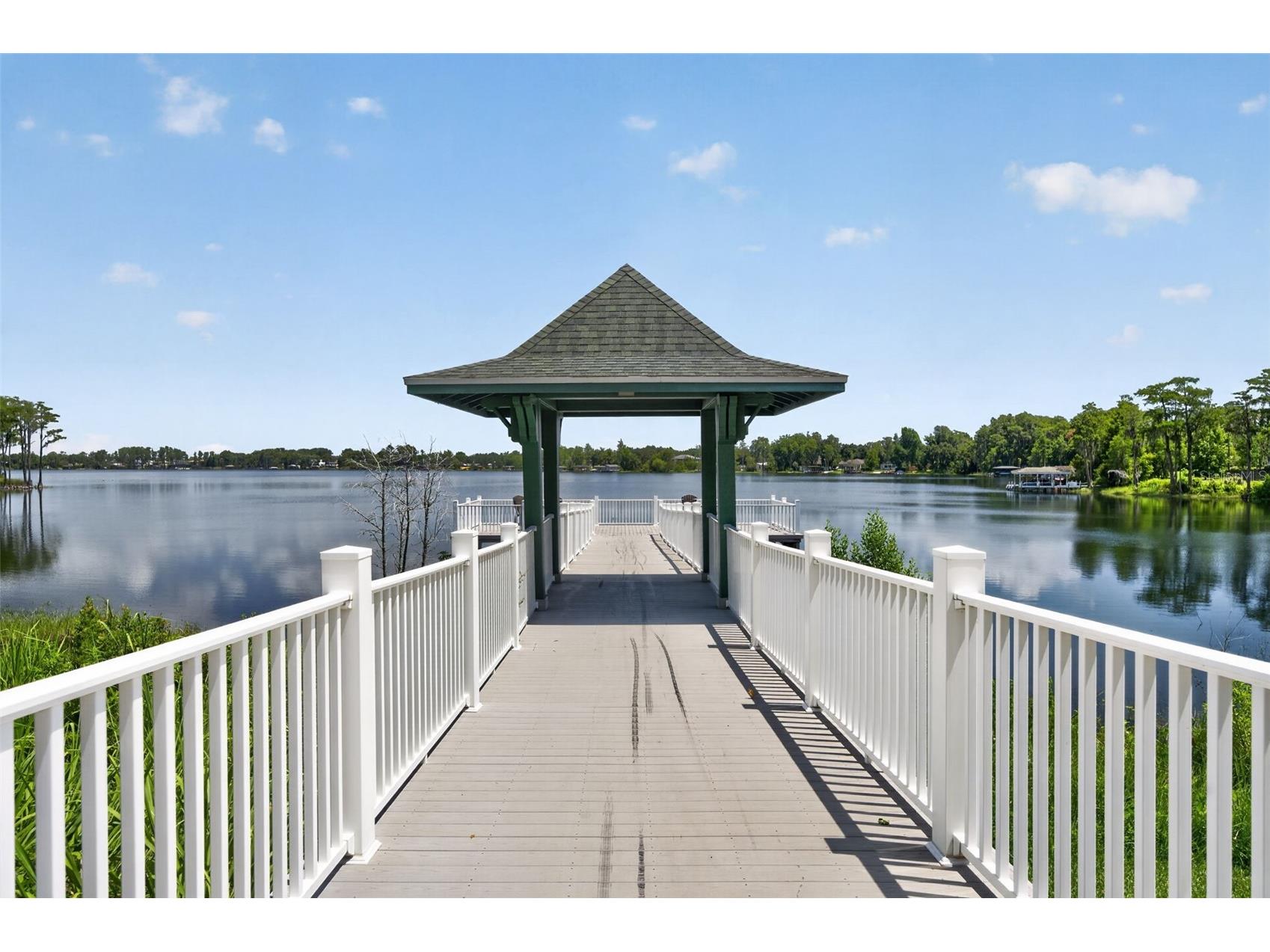 12580 Cragside Lane Windermere FL 34786 O6418877 image55