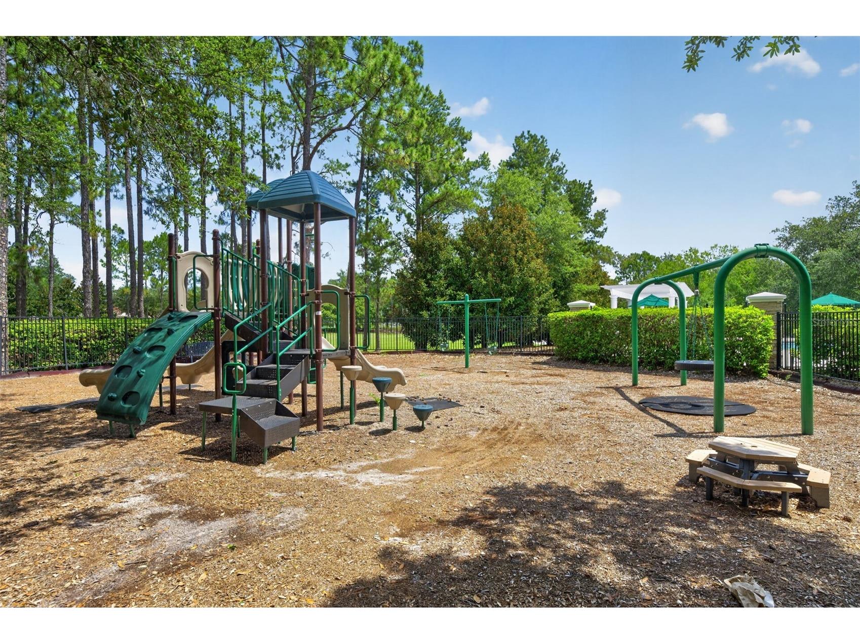 12580 Cragside Lane Windermere FL 34786 O6418877 image58