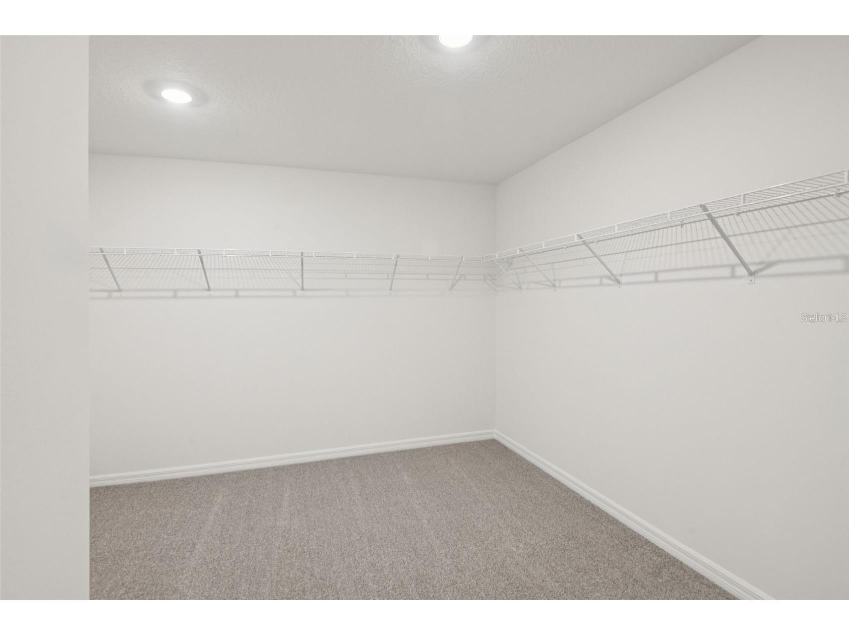 12581 Homeland Drive Dade City FL 33525 TB8474650 image27