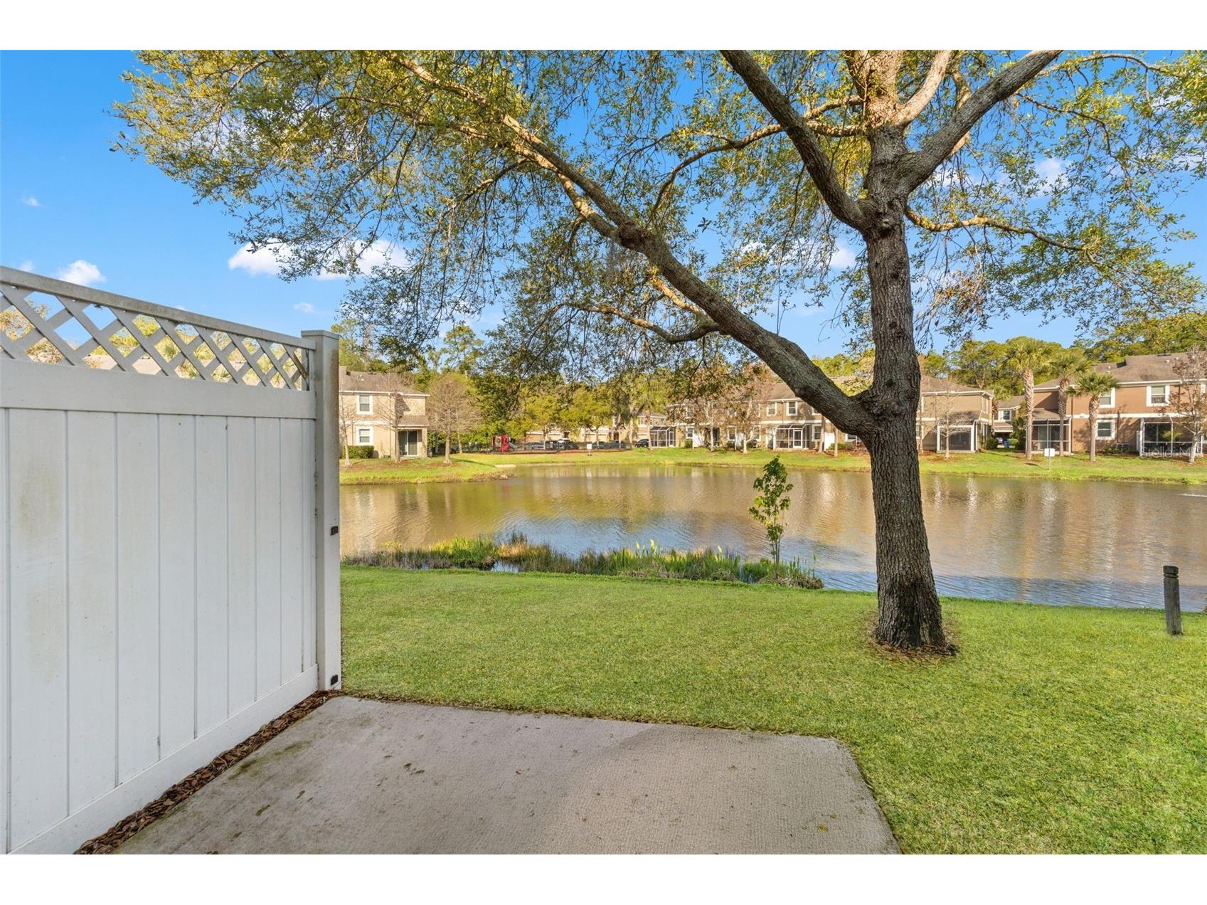 12581 Streamdale Drive Tampa FL 33626 O6391513 image25