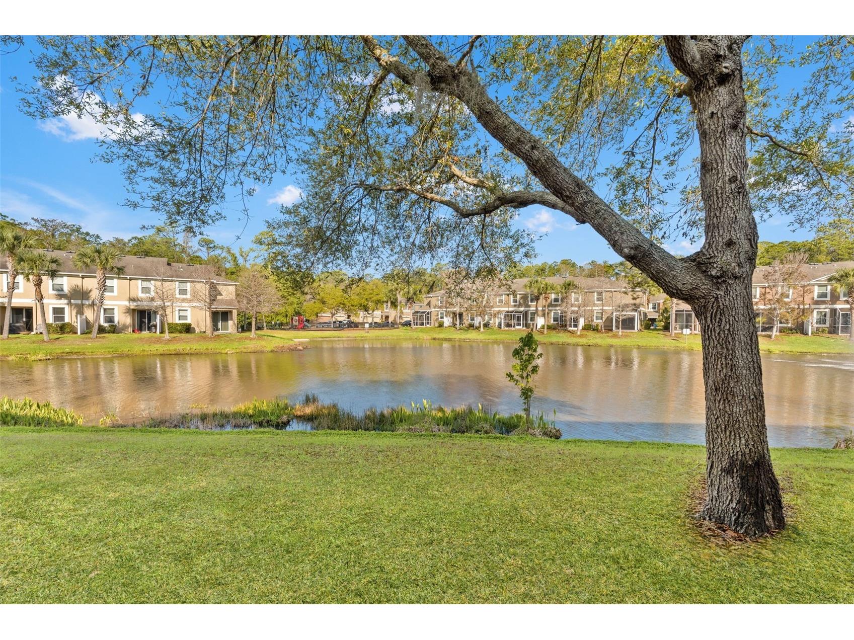 12581 Streamdale Drive Tampa FL 33626 O6391513 image26