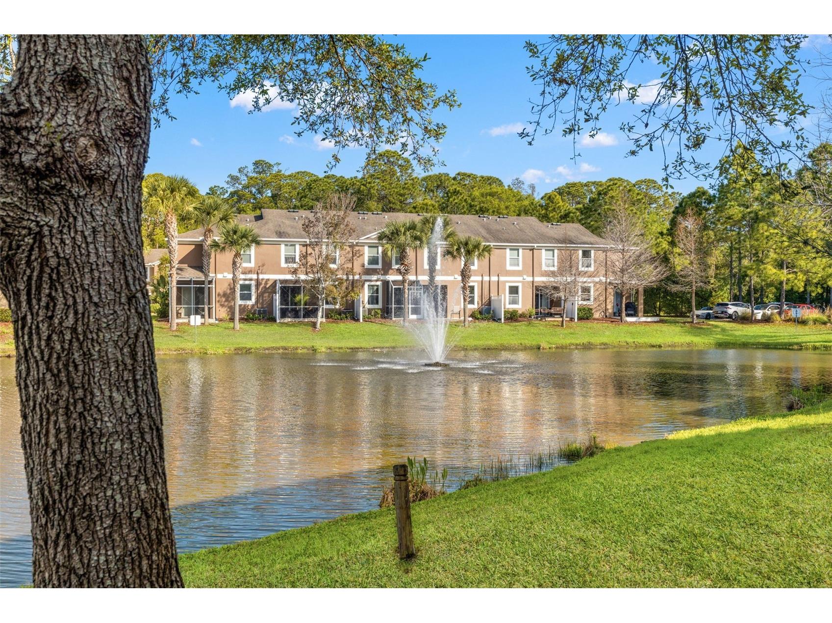 12581 Streamdale Drive Tampa FL 33626 O6391513 image27