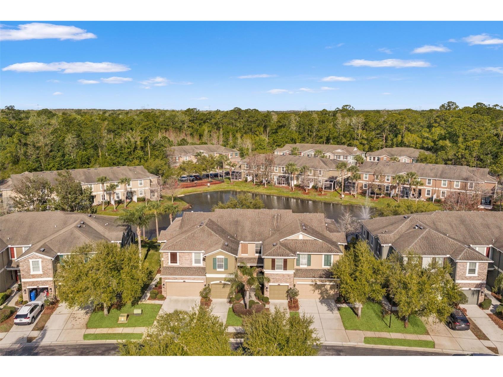 12581 Streamdale Drive Tampa FL 33626 O6391513 image30