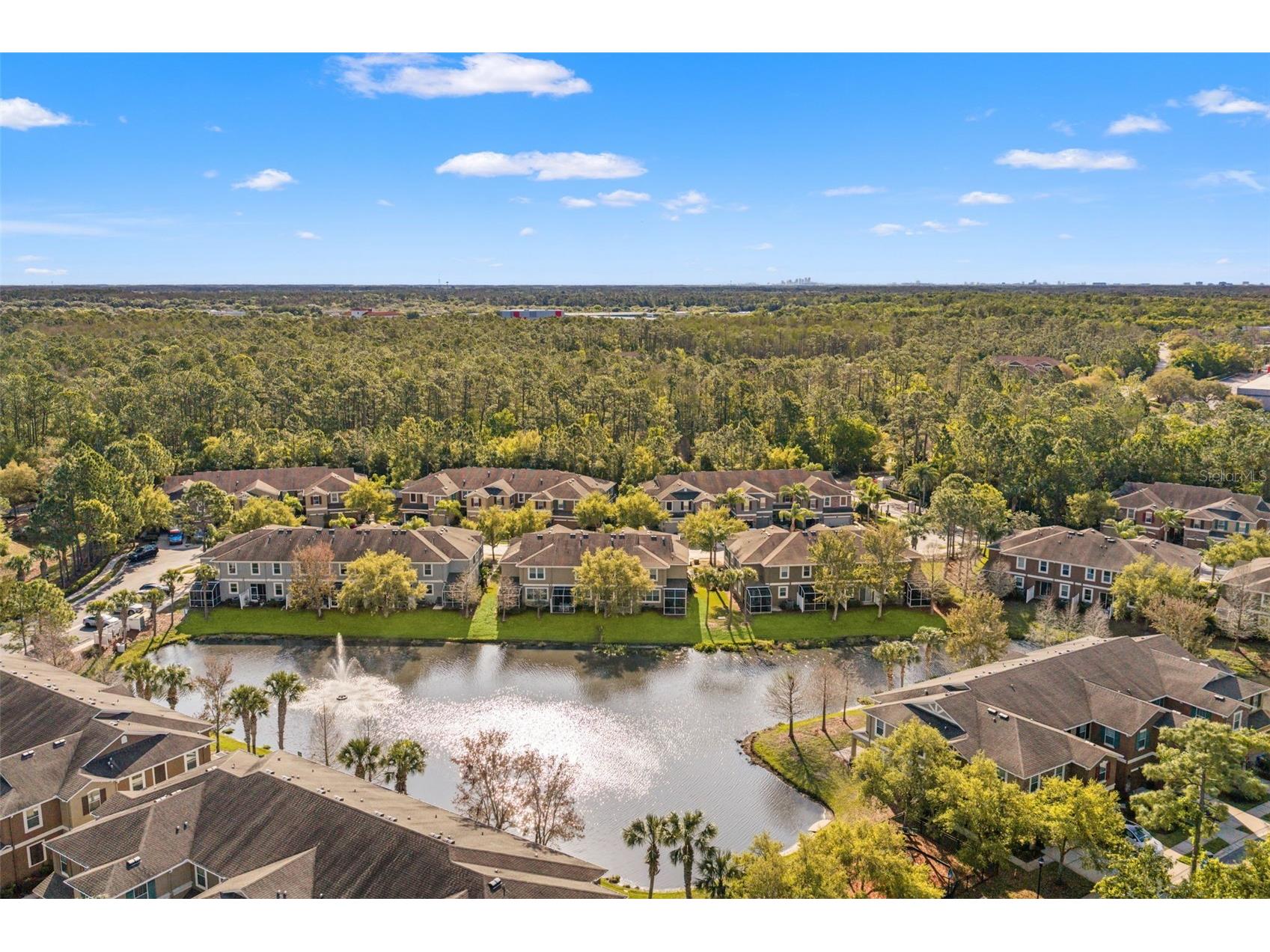 12581 Streamdale Drive Tampa FL 33626 O6391513 image32