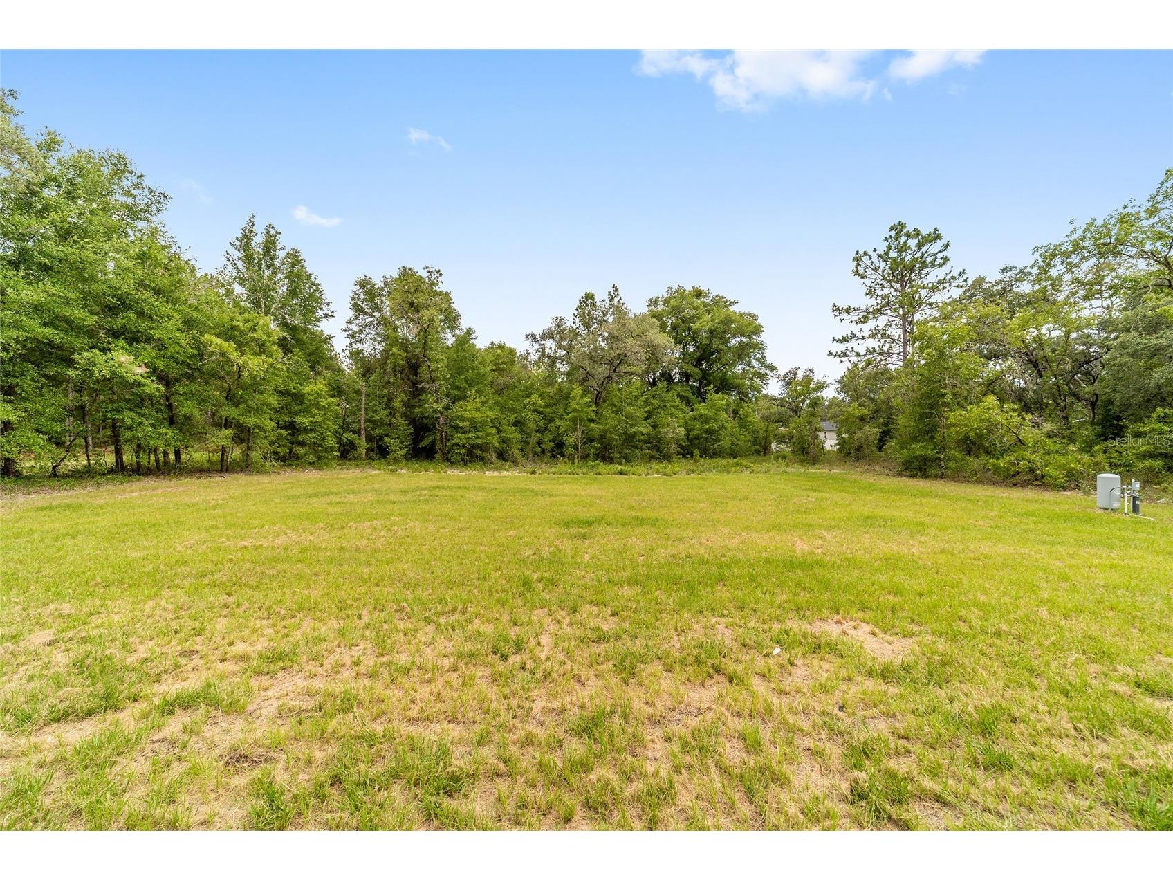 12584 SW 90 Place Dunnellon FL 34432 OM715163 image13
