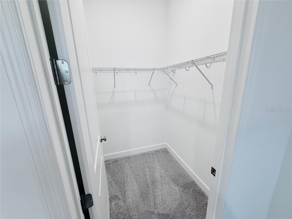 12585 Clear Sapphire Drive Winter Garden FL 34787 O6358101 image16