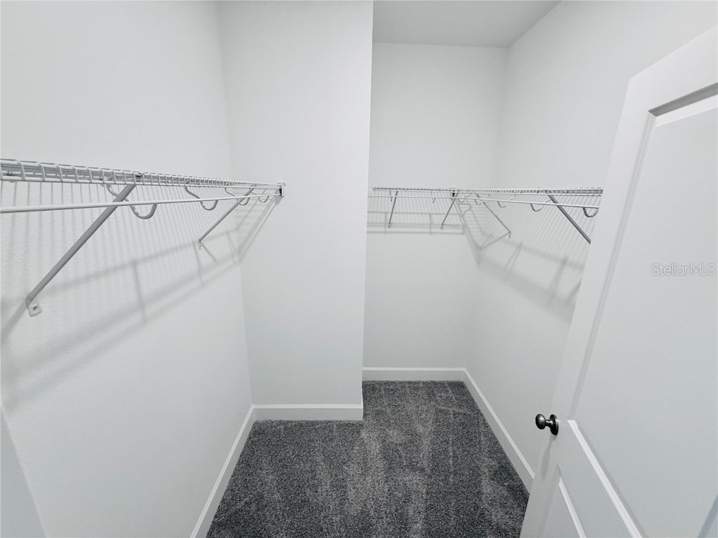 12585 Clear Sapphire Drive Winter Garden FL 34787 O6358101 image37