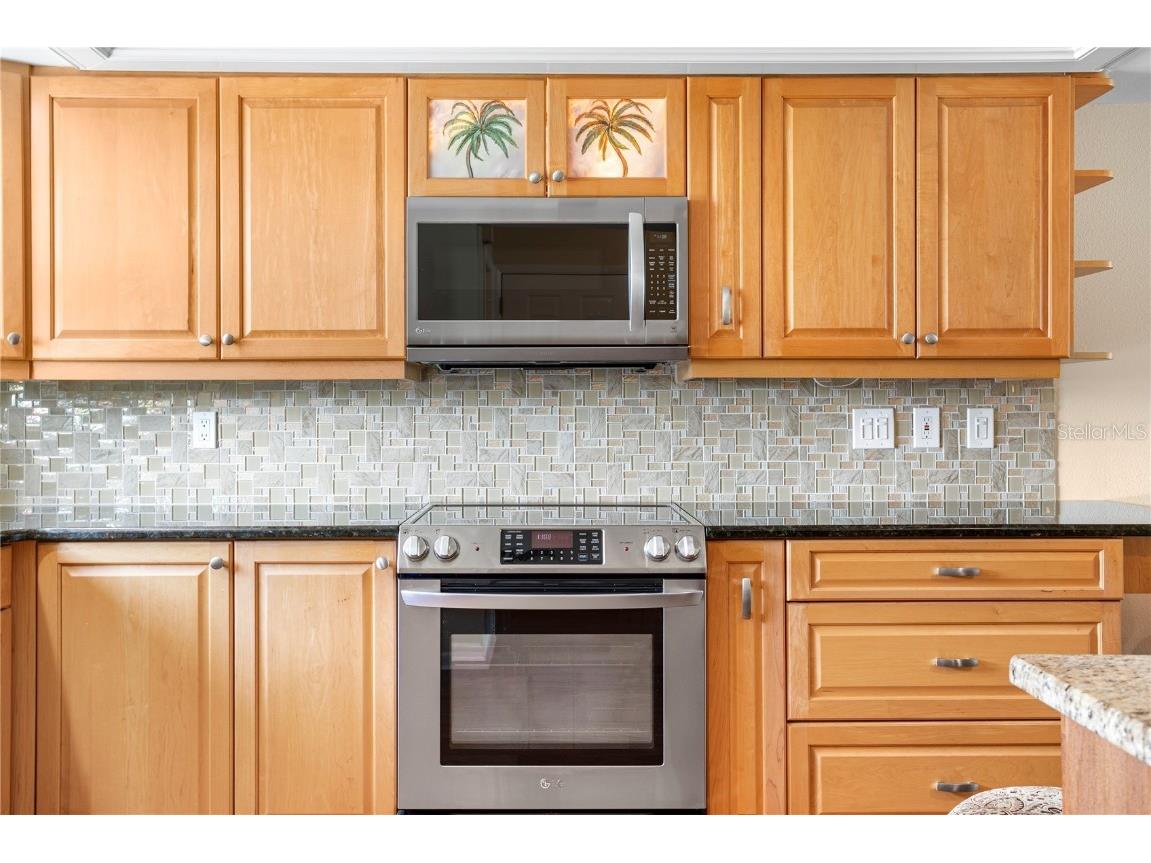 12586 Capri Circle N Treasure Island FL 33706 TB8413333 image10