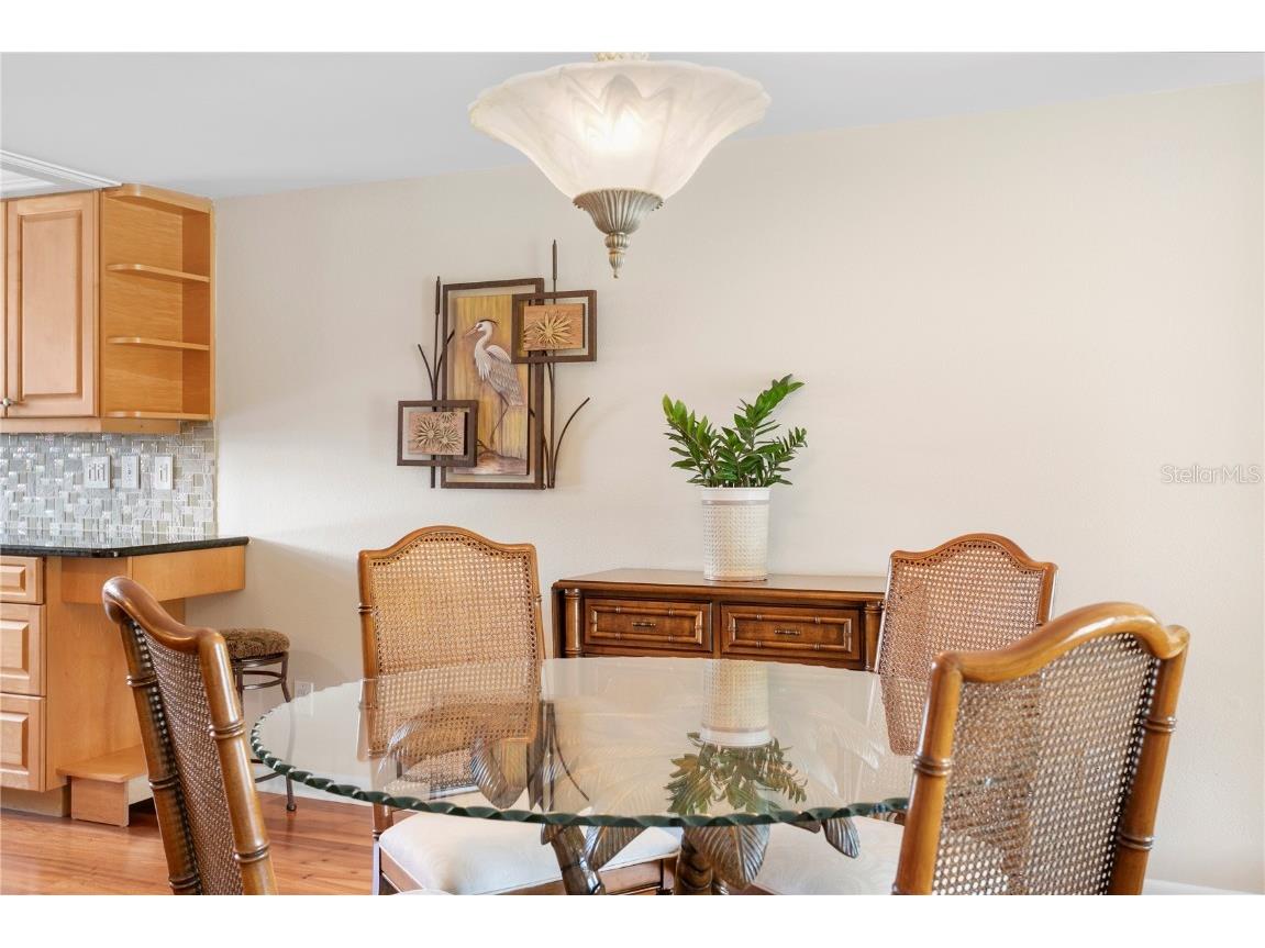 12586 Capri Circle N Treasure Island FL 33706 TB8413333 image13