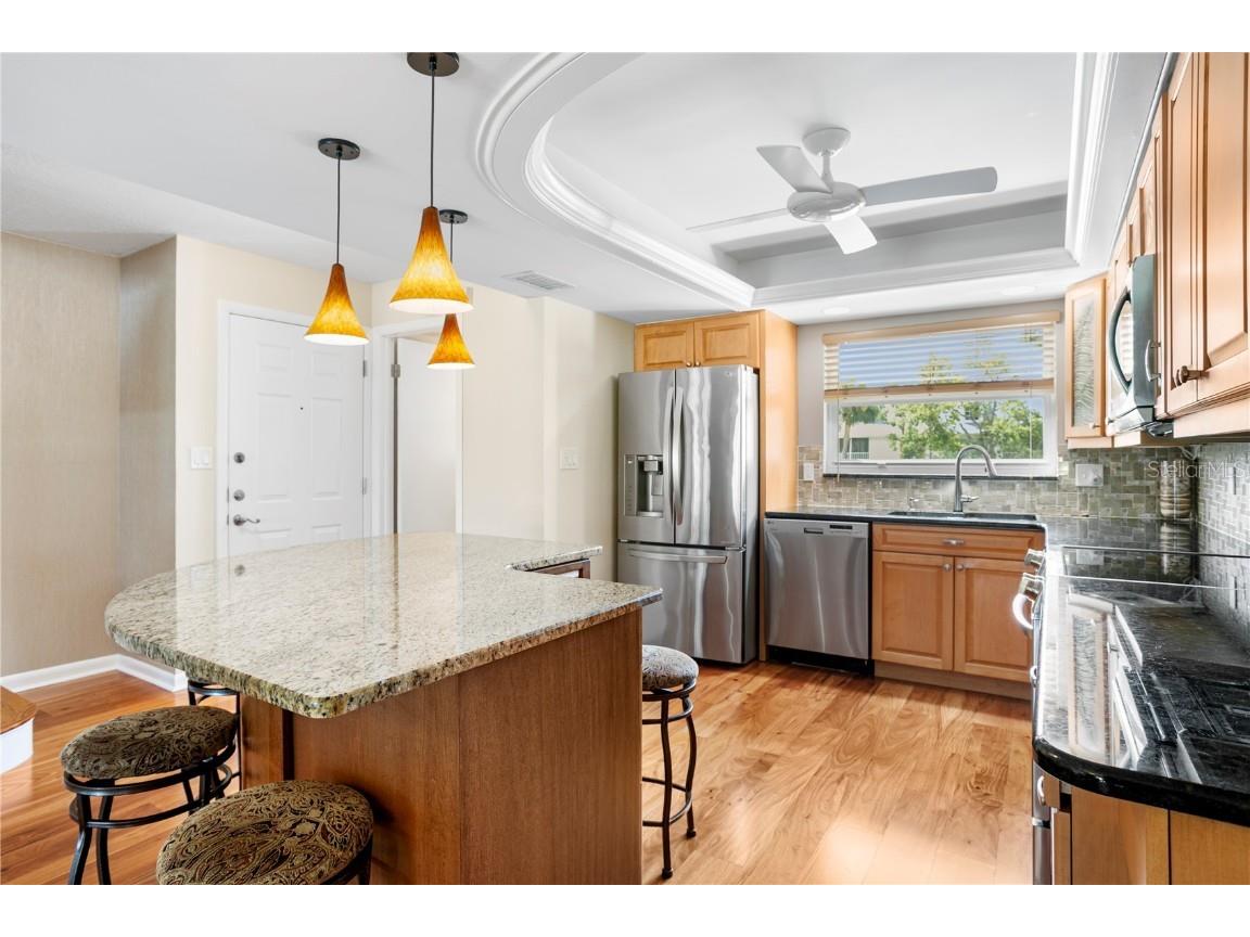 12586 Capri Circle N Treasure Island FL 33706 TB8413333 image61