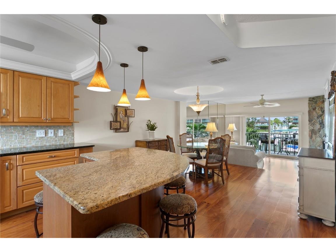 12586 Capri Circle N Treasure Island FL 33706 TB8413333 image7