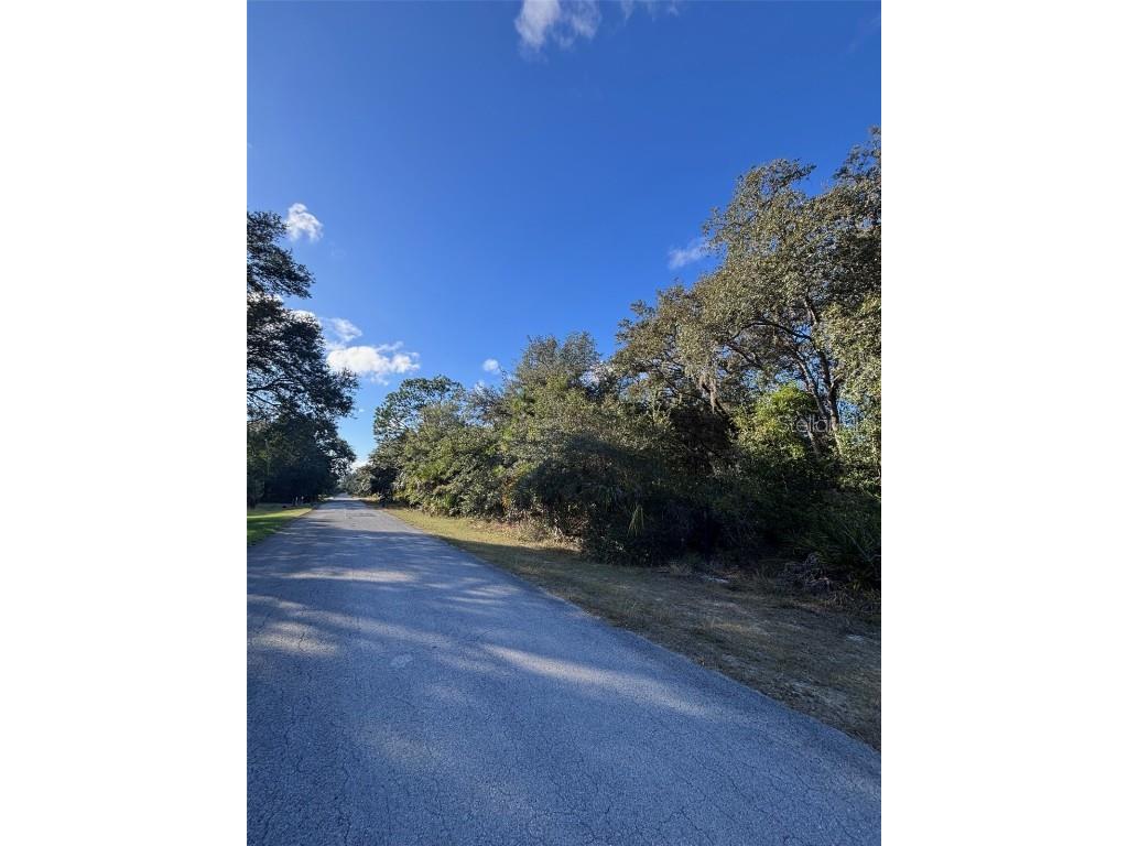 12587 W Flaxen Drive Crystal River FL 34428 A4671835 image1