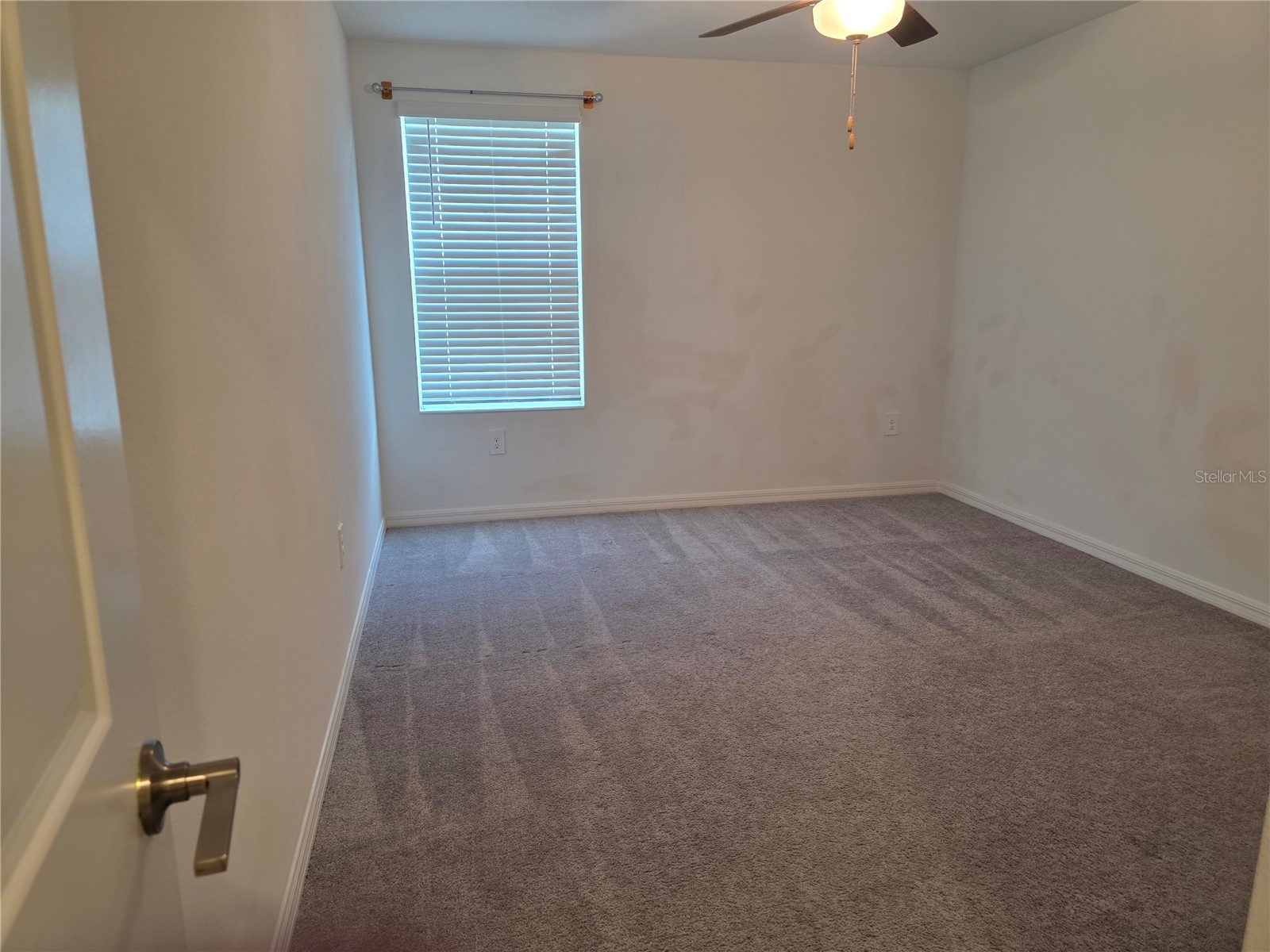 12588 Timber Moss Lane Riverview FL 33579 TB8524259 image13