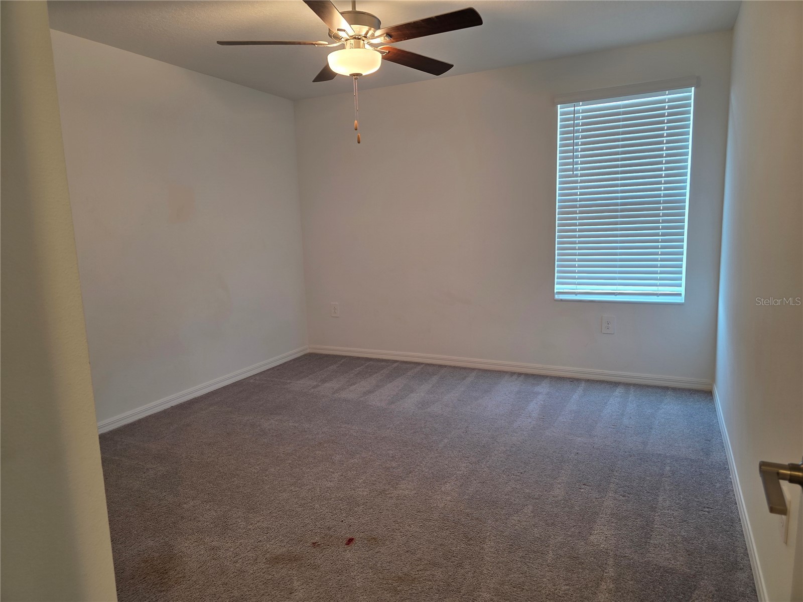12588 Timber Moss Lane Riverview FL 33579 TB8524259 image15