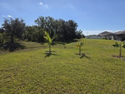 12588 Timber Moss Lane Riverview FL 33579 TB8524259 image17