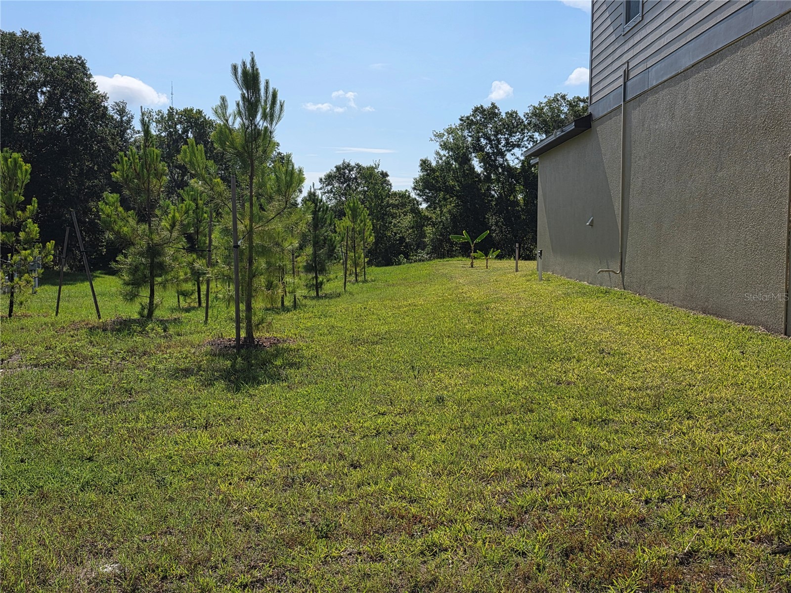 12588 Timber Moss Lane Riverview FL 33579 TB8524259 image18