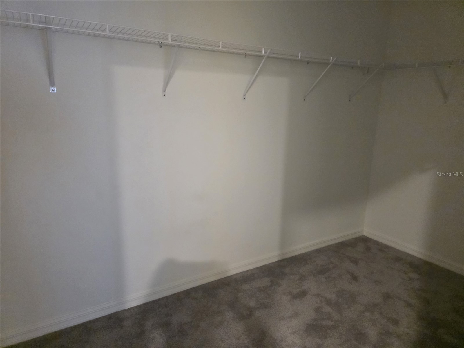 12588 Timber Moss Lane Riverview FL 33579 TB8524259 image5