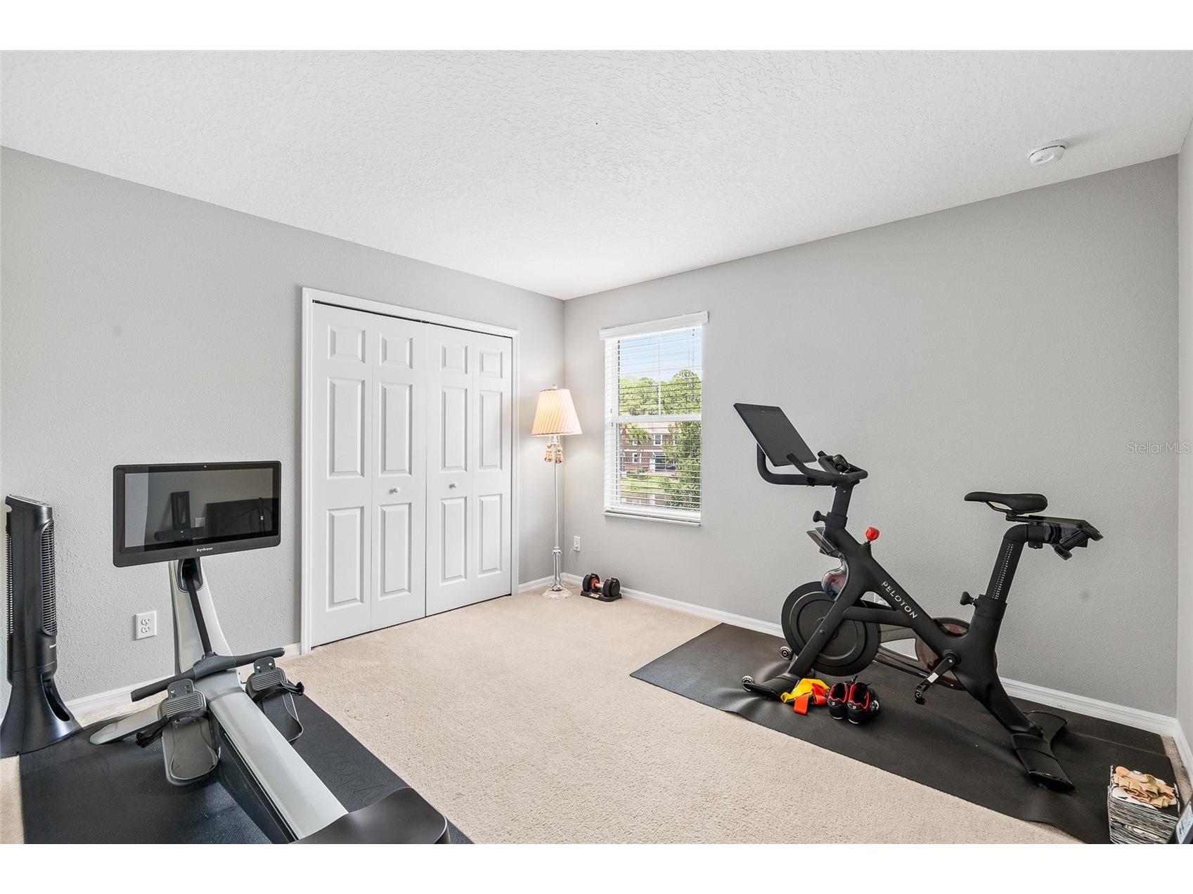12589 Streamdale Drive Tampa FL 33626 TB8514577 image16