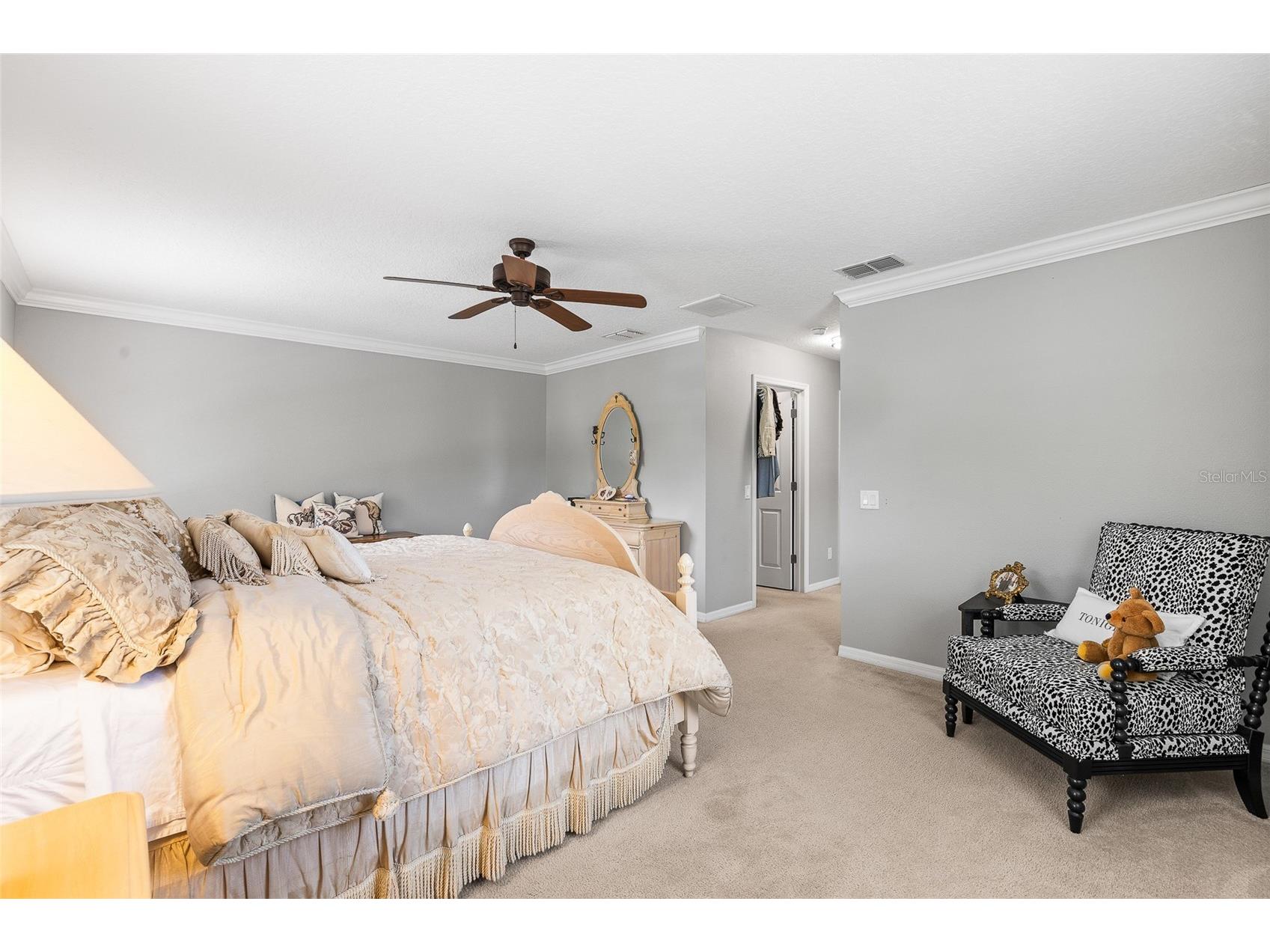 12589 Streamdale Drive Tampa FL 33626 TB8514577 image18