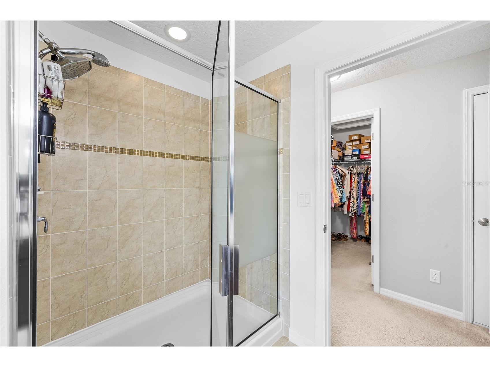 12589 Streamdale Drive Tampa FL 33626 TB8514577 image21
