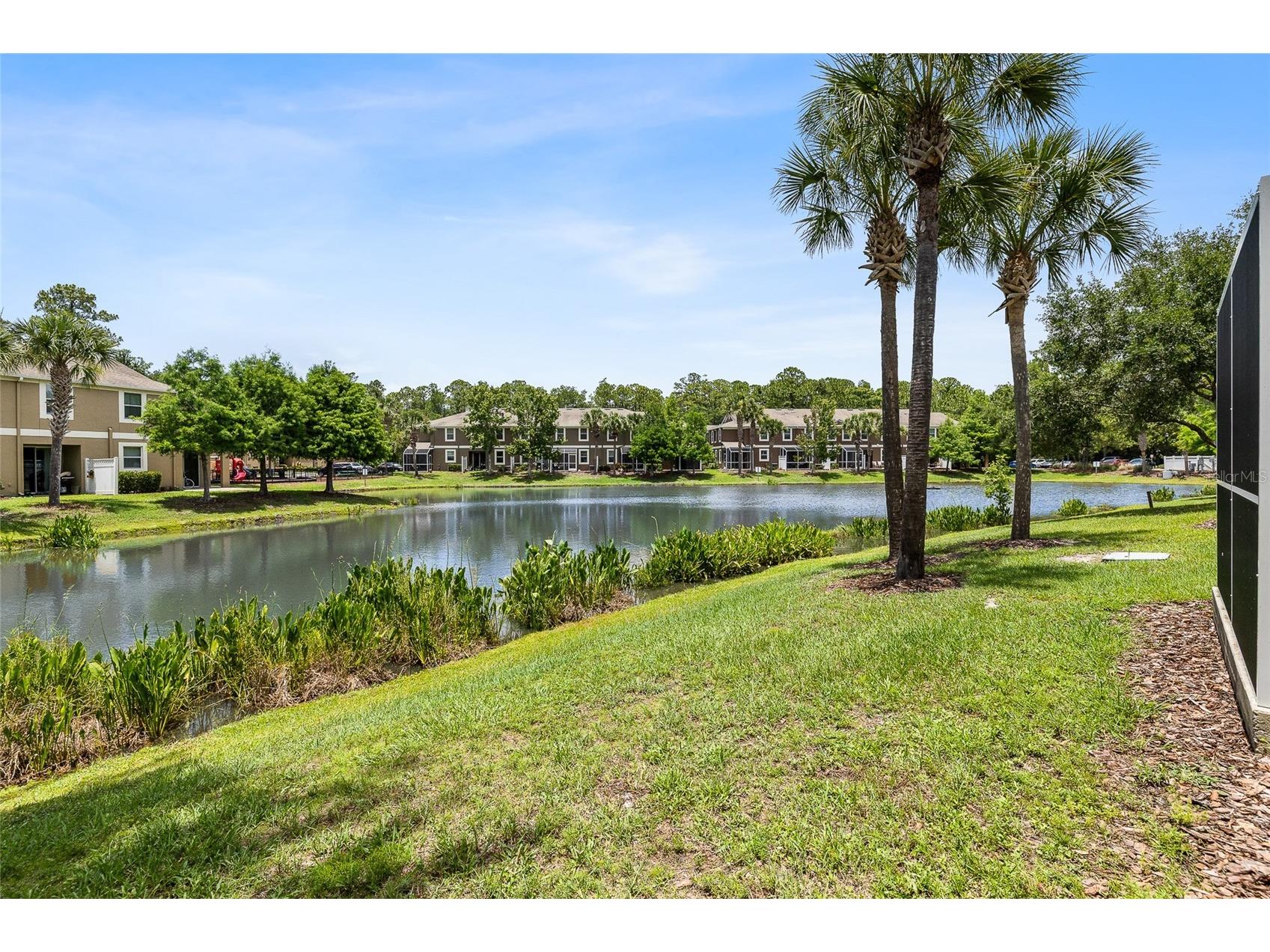 12589 Streamdale Drive Tampa FL 33626 TB8514577 image30