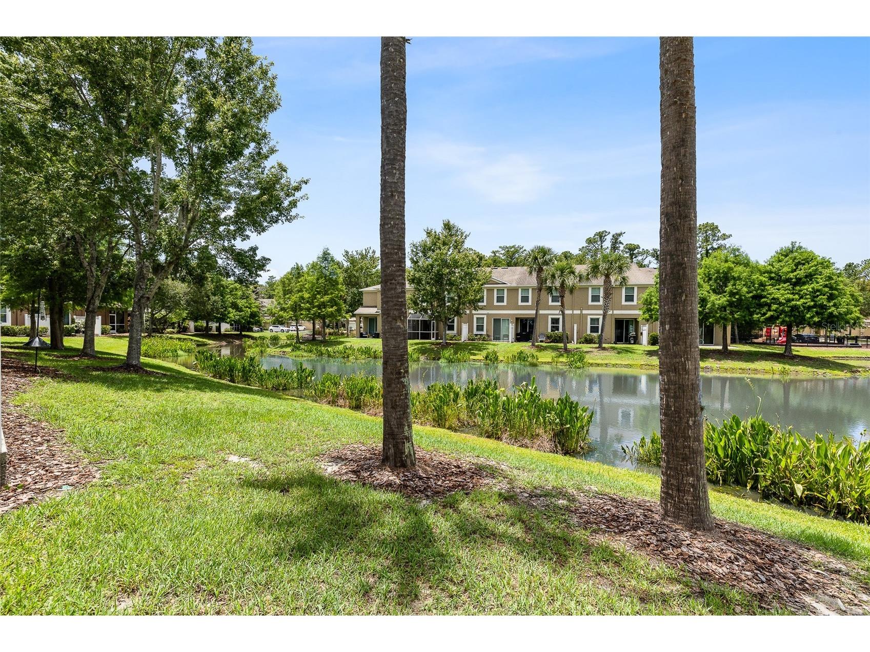 12589 Streamdale Drive Tampa FL 33626 TB8514577 image31