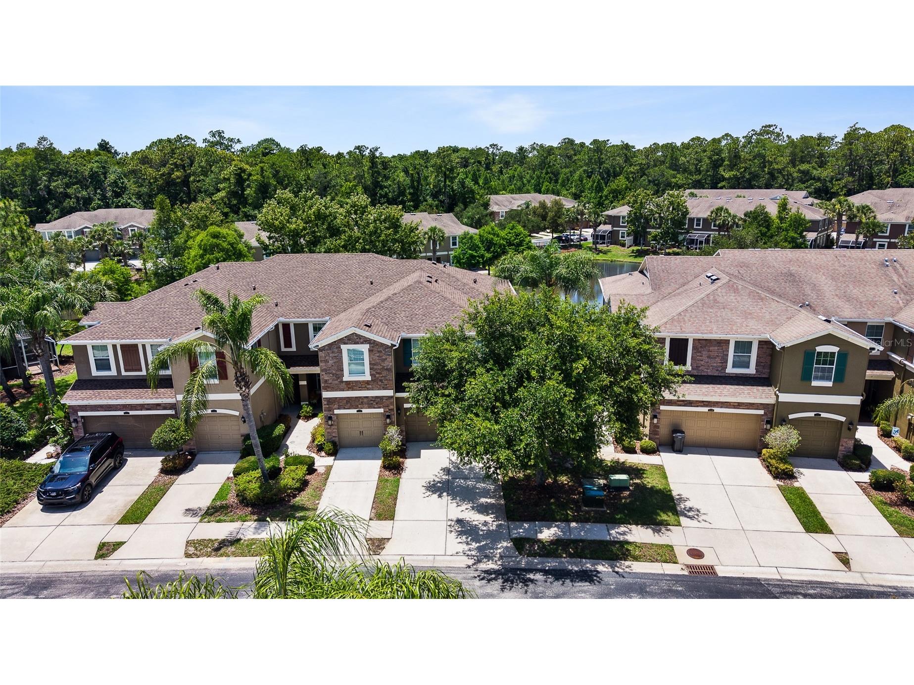12589 Streamdale Drive Tampa FL 33626 TB8514577 image33