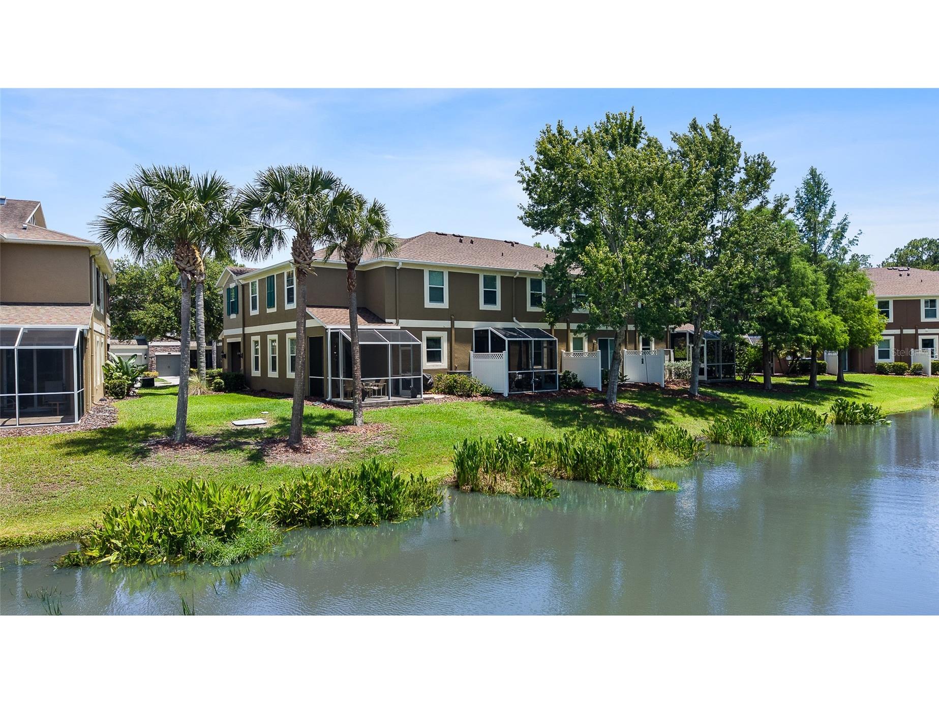 12589 Streamdale Drive Tampa FL 33626 TB8514577 image35