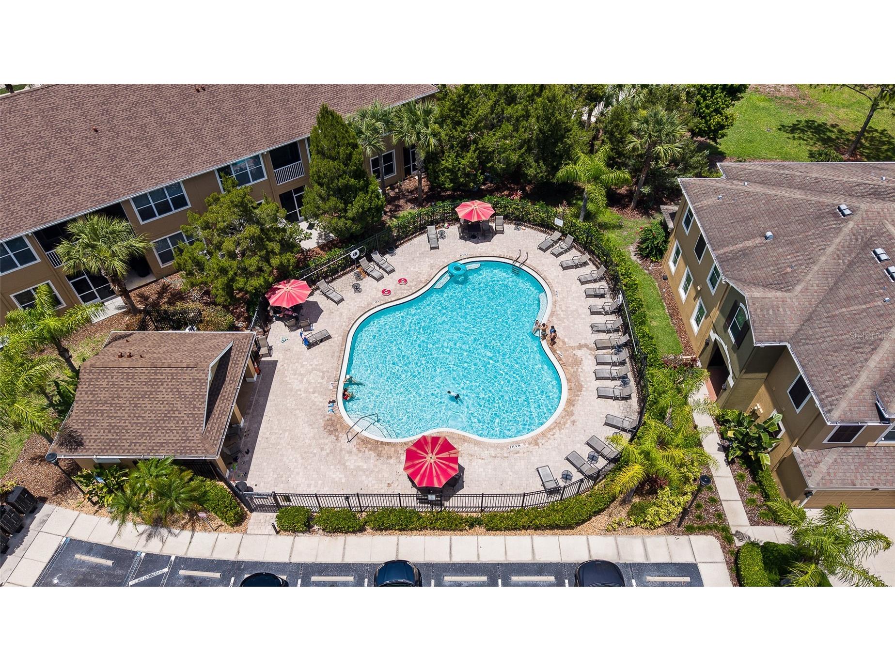 12589 Streamdale Drive Tampa FL 33626 TB8514577 image41
