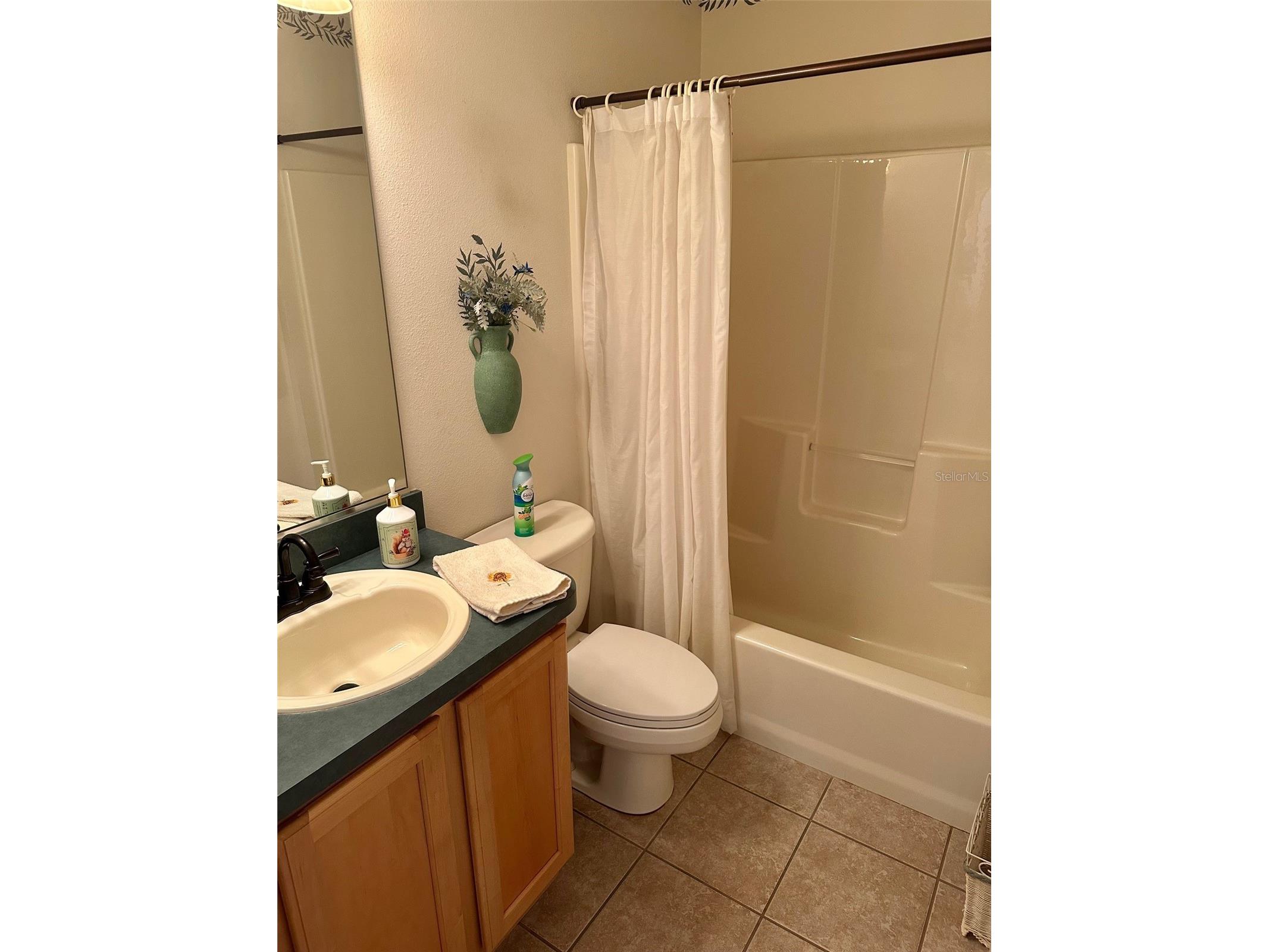 1259 Addison Avenue The Villages FL 32162 G5109641 image22