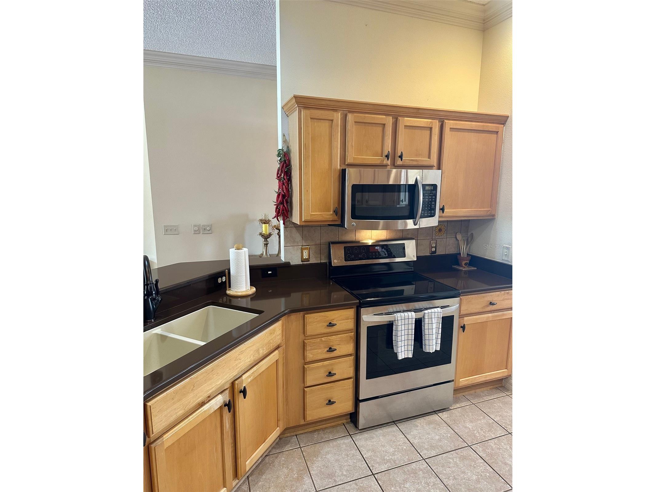 1259 Addison Avenue The Villages FL 32162 G5109641 image3