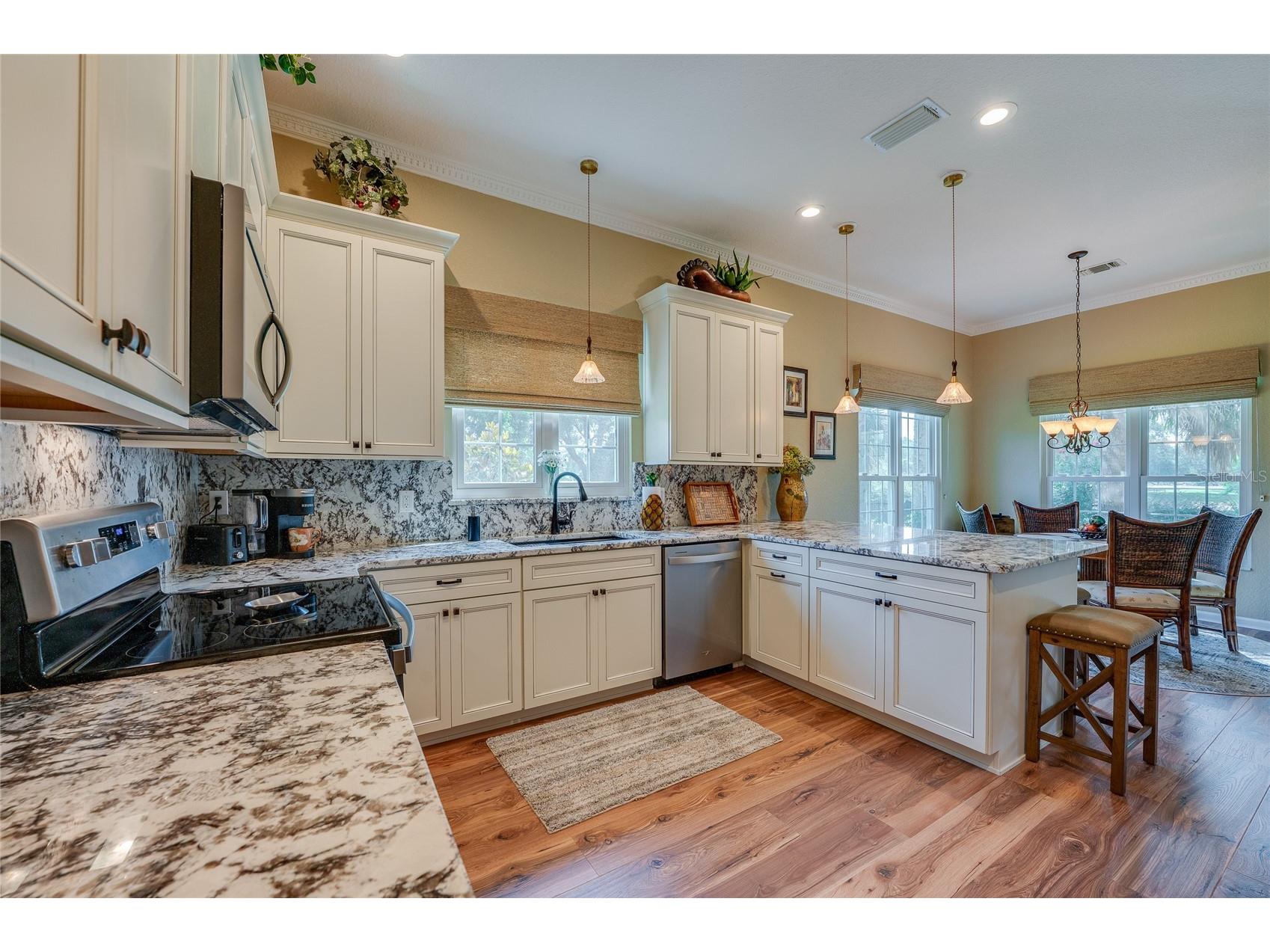 1259 Avenida De Las Casas Lady Lake FL 32159 V4950008 image17