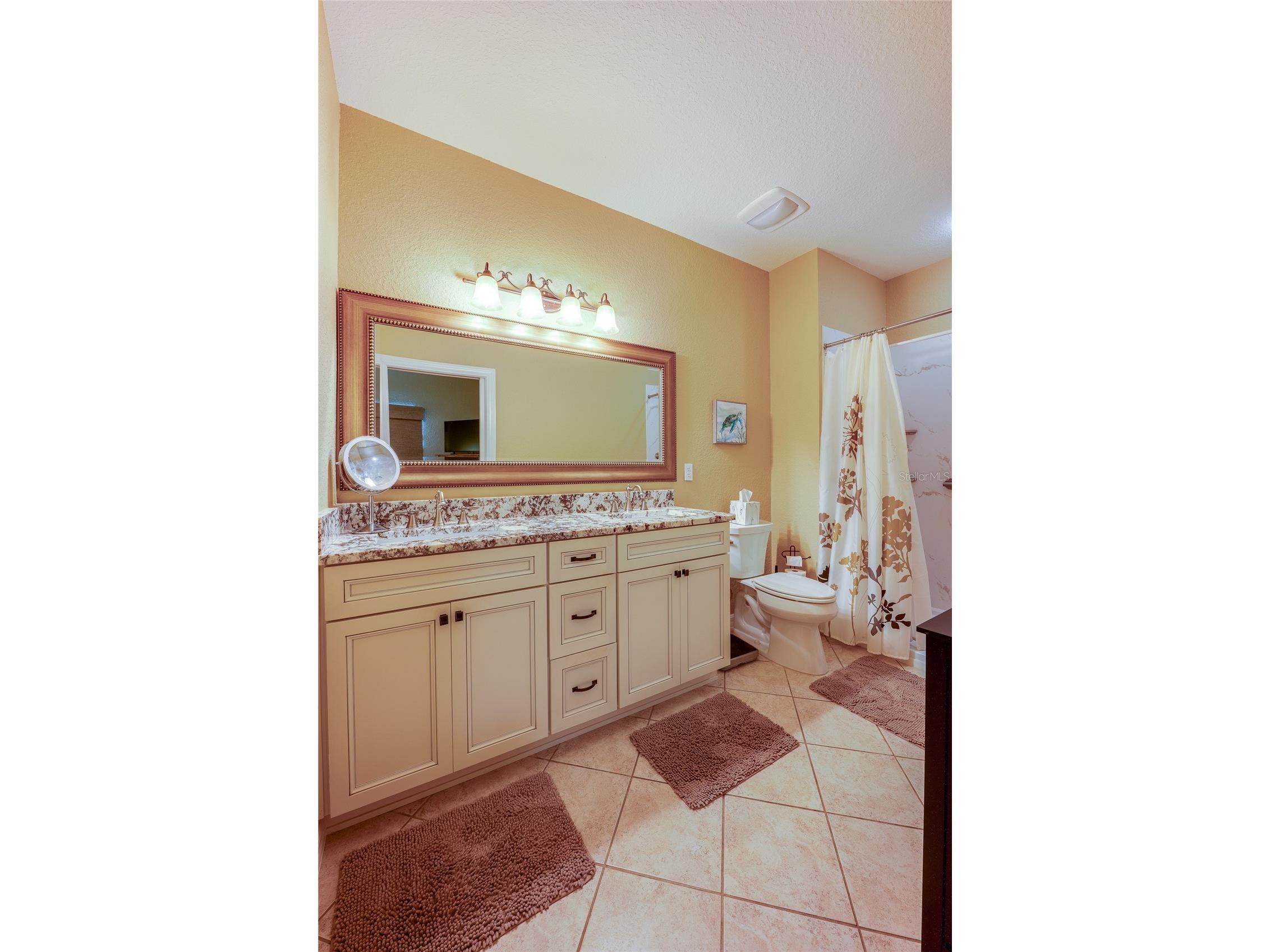 1259 Avenida De Las Casas Lady Lake FL 32159 V4950008 image25