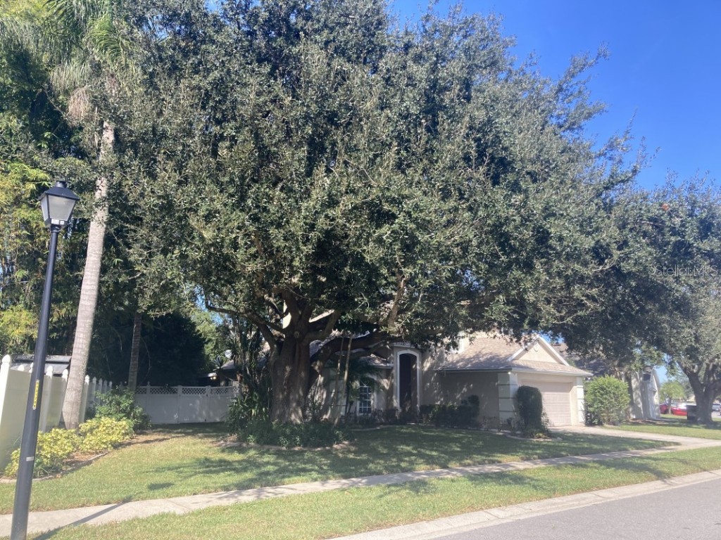 1259 Ballyshannon Parkway Orlando FL 32828 A4673010 image20